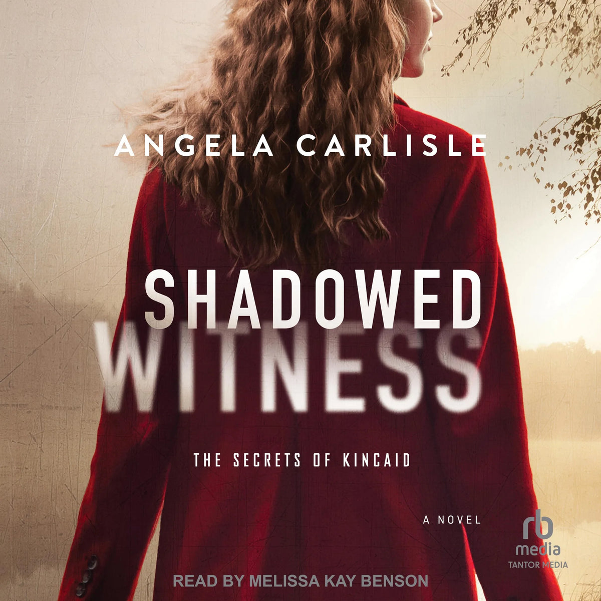 Shadowed Witness