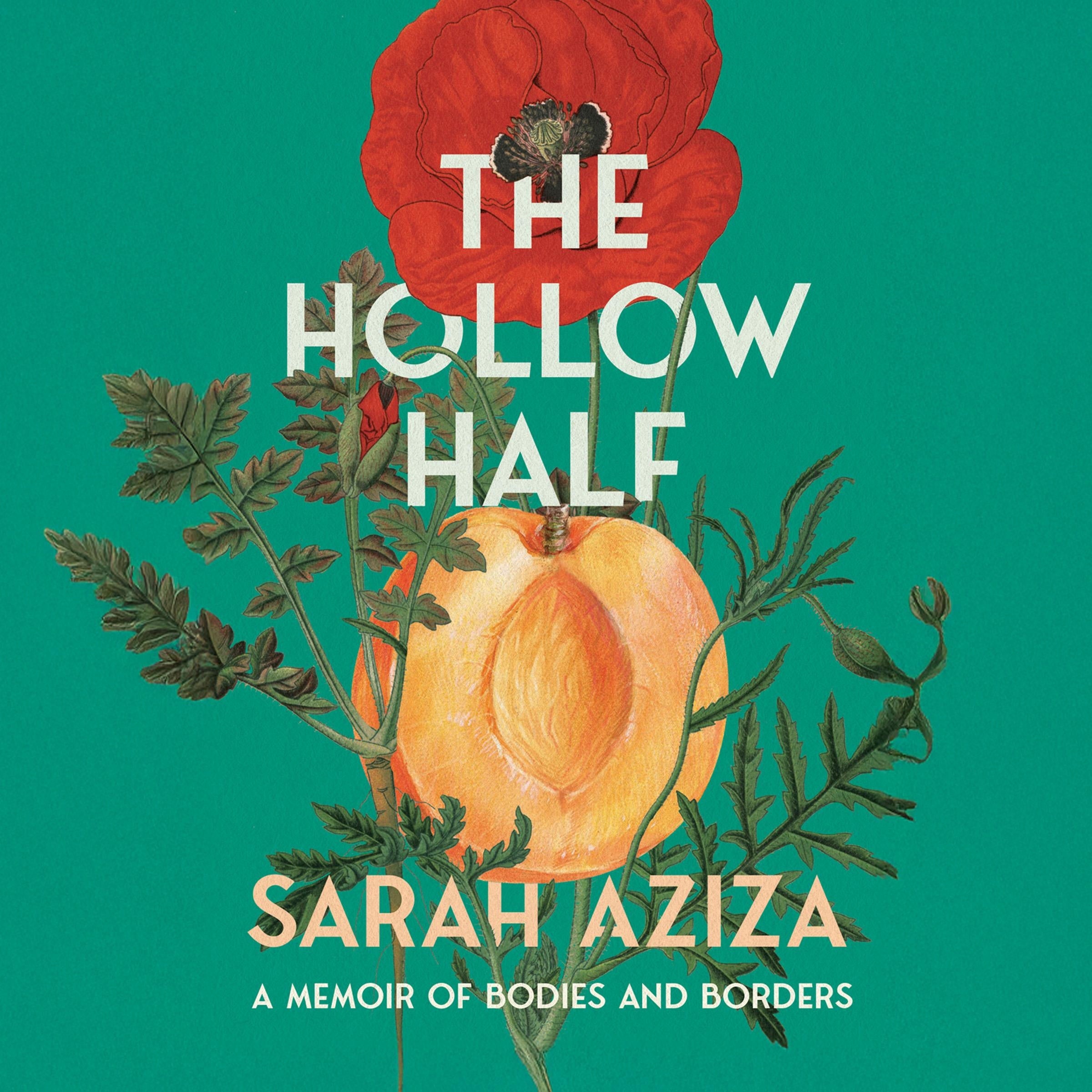 The Hollow Half