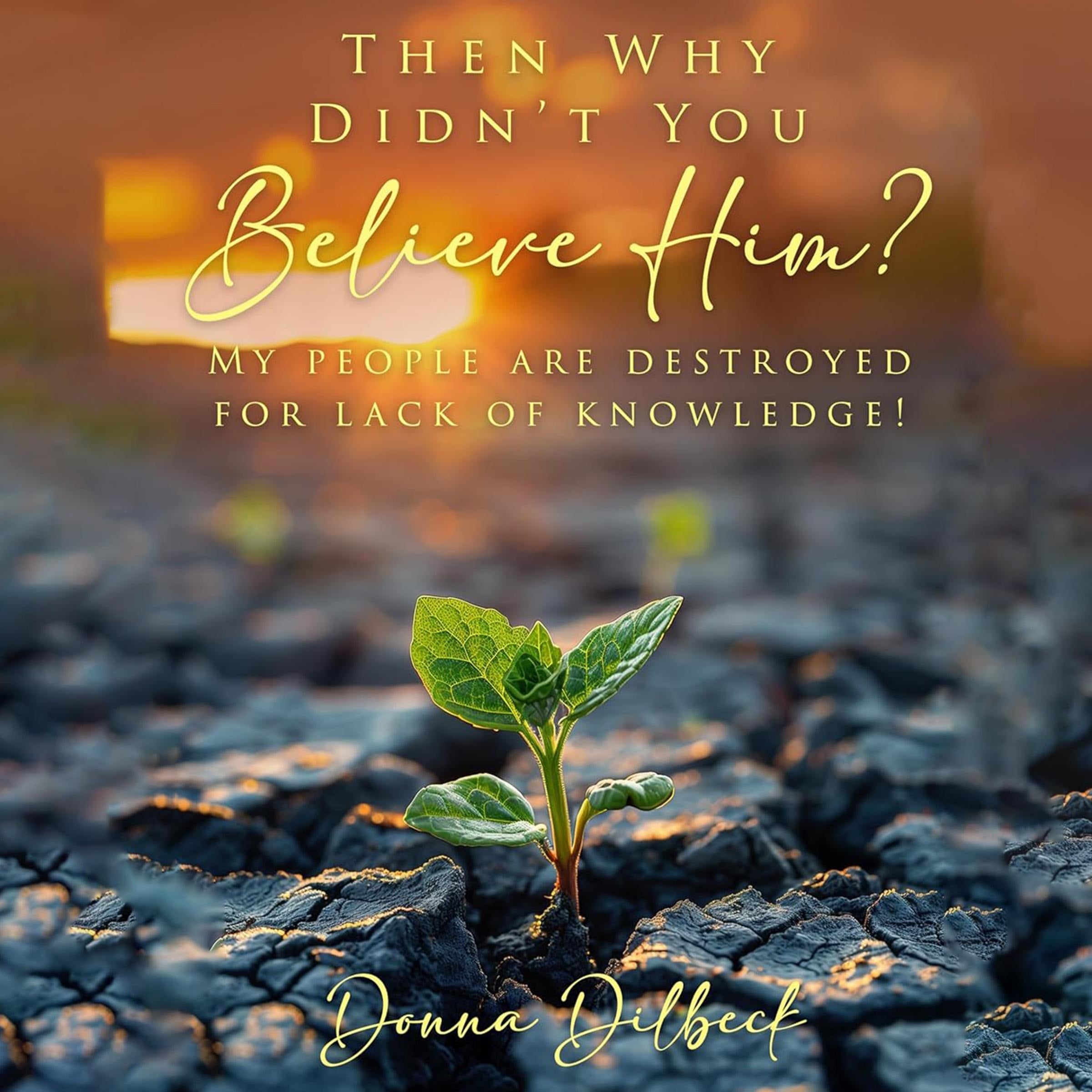 Then Why Didn't You Believe Him?