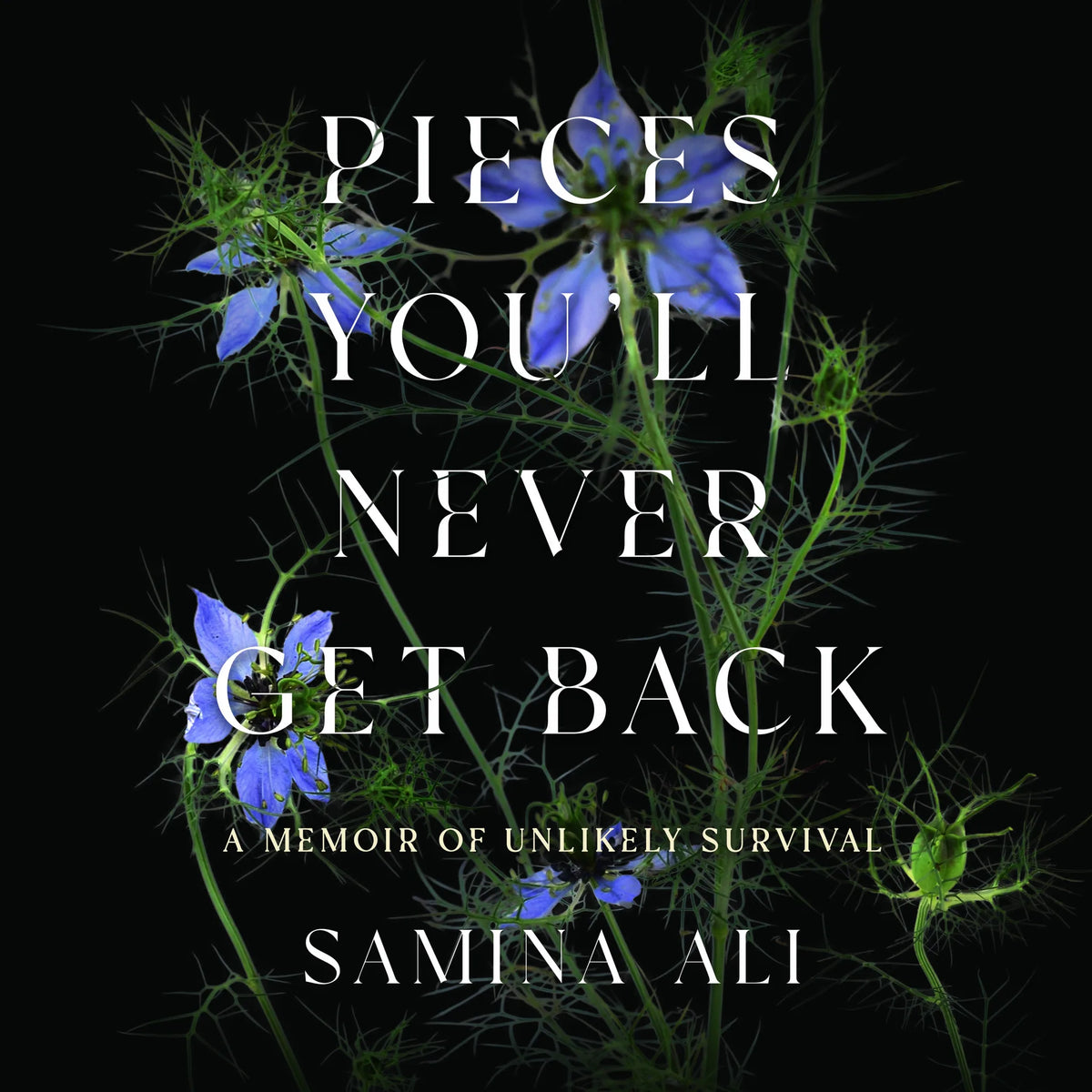 Pieces You'll Never Get Back