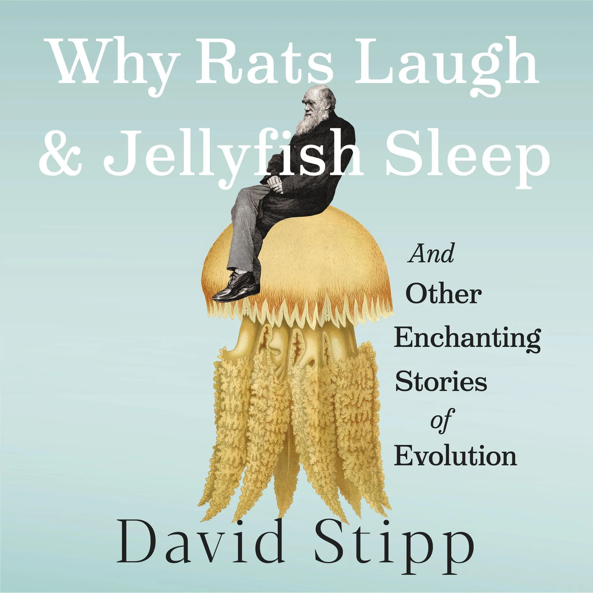 Why Rats Laugh and Jellyfish Sleep