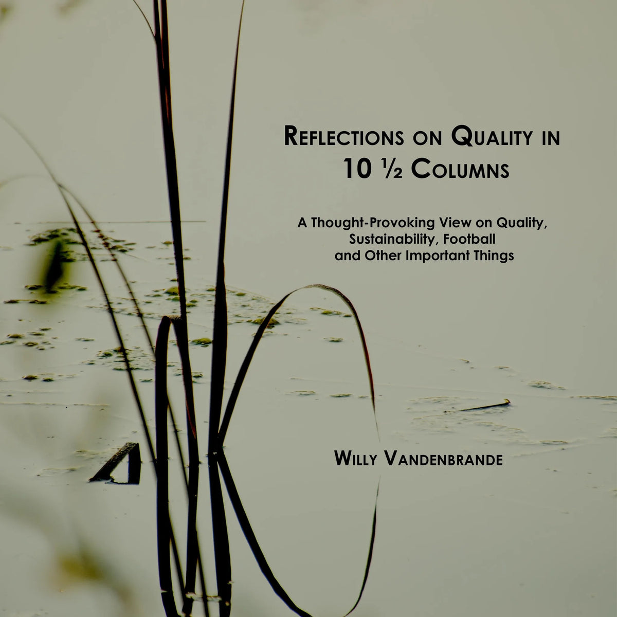 Reflections on Quality in 10 1/2 Columns