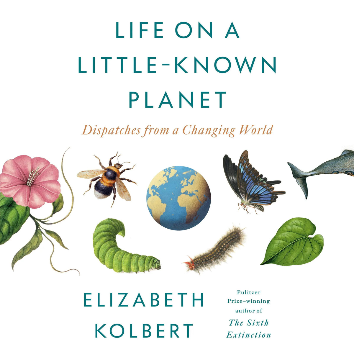 Life on a Little-Known Planet