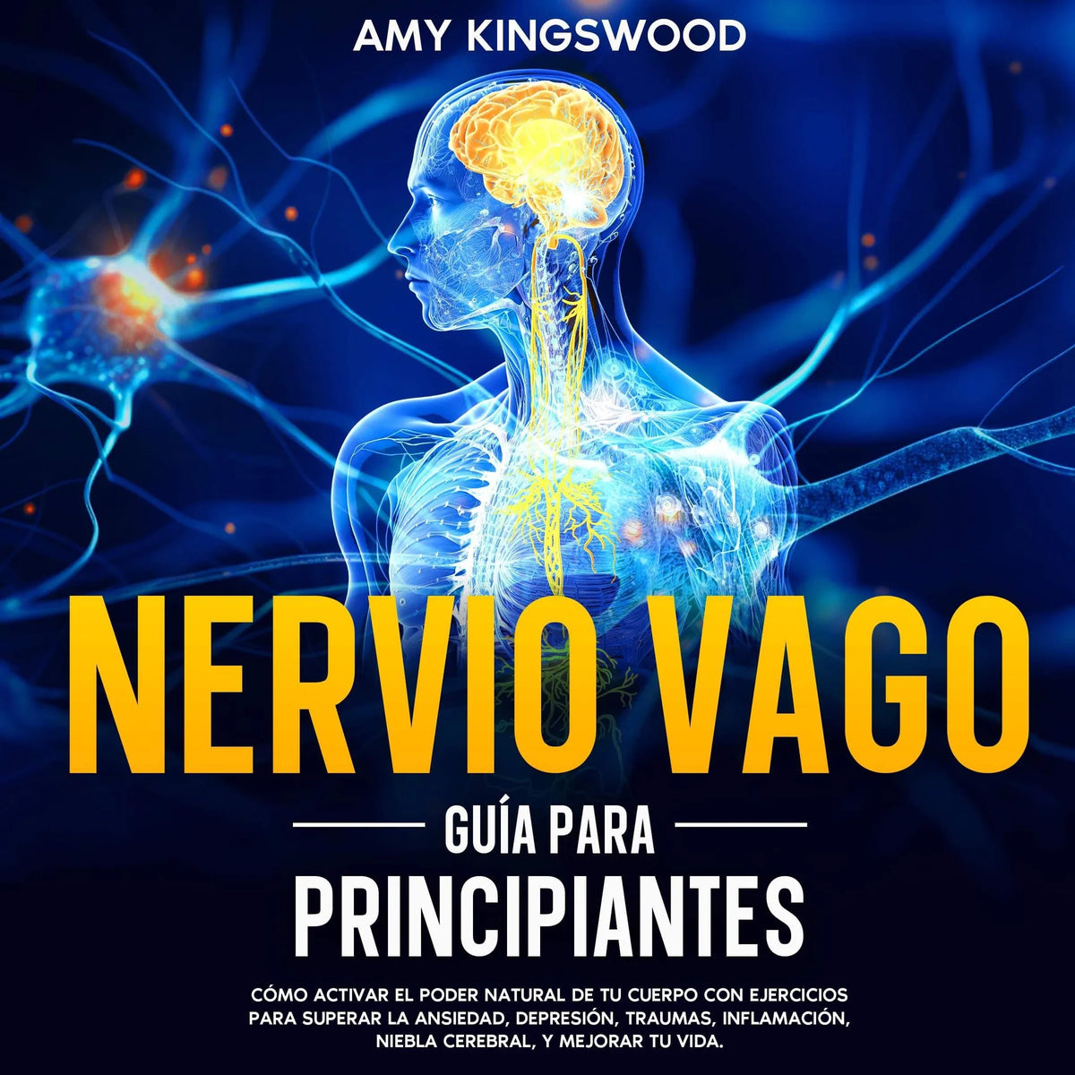 Nervio vago: Guía para principiantes