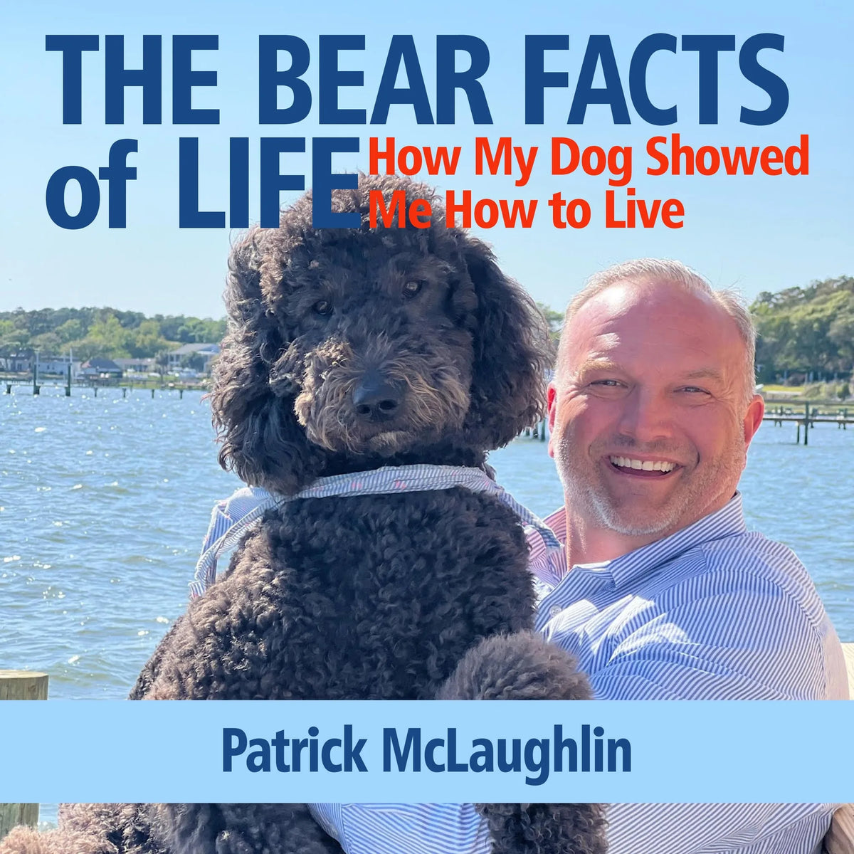 The Bear Facts of Life