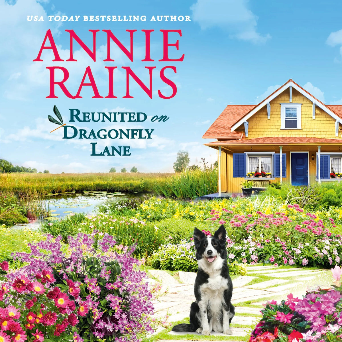Reunited on Dragonfly Lane