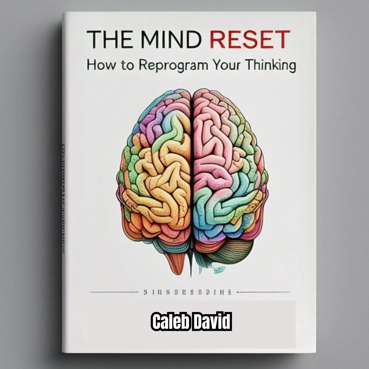 The Mind Reset Manual