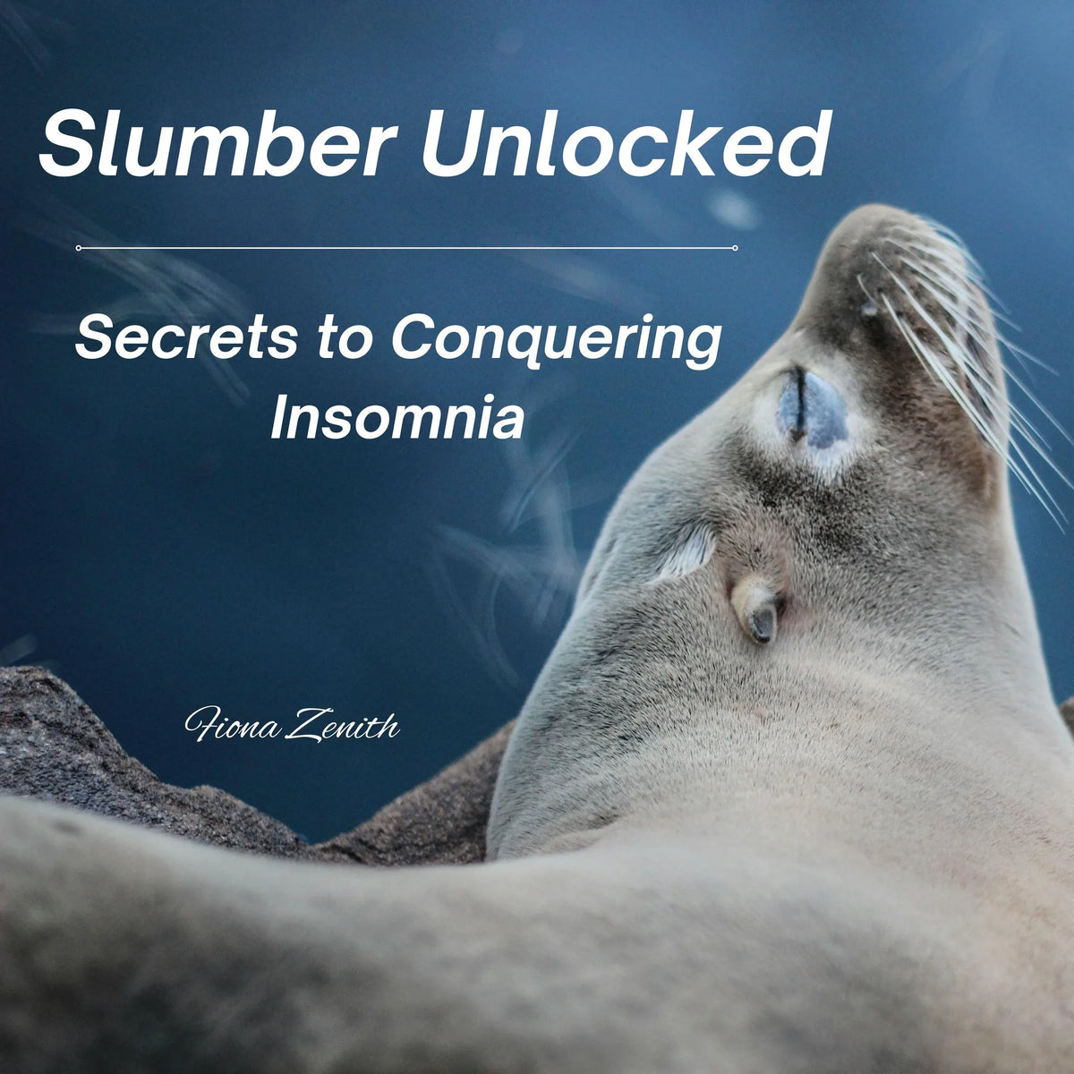 Slumber Unlocked