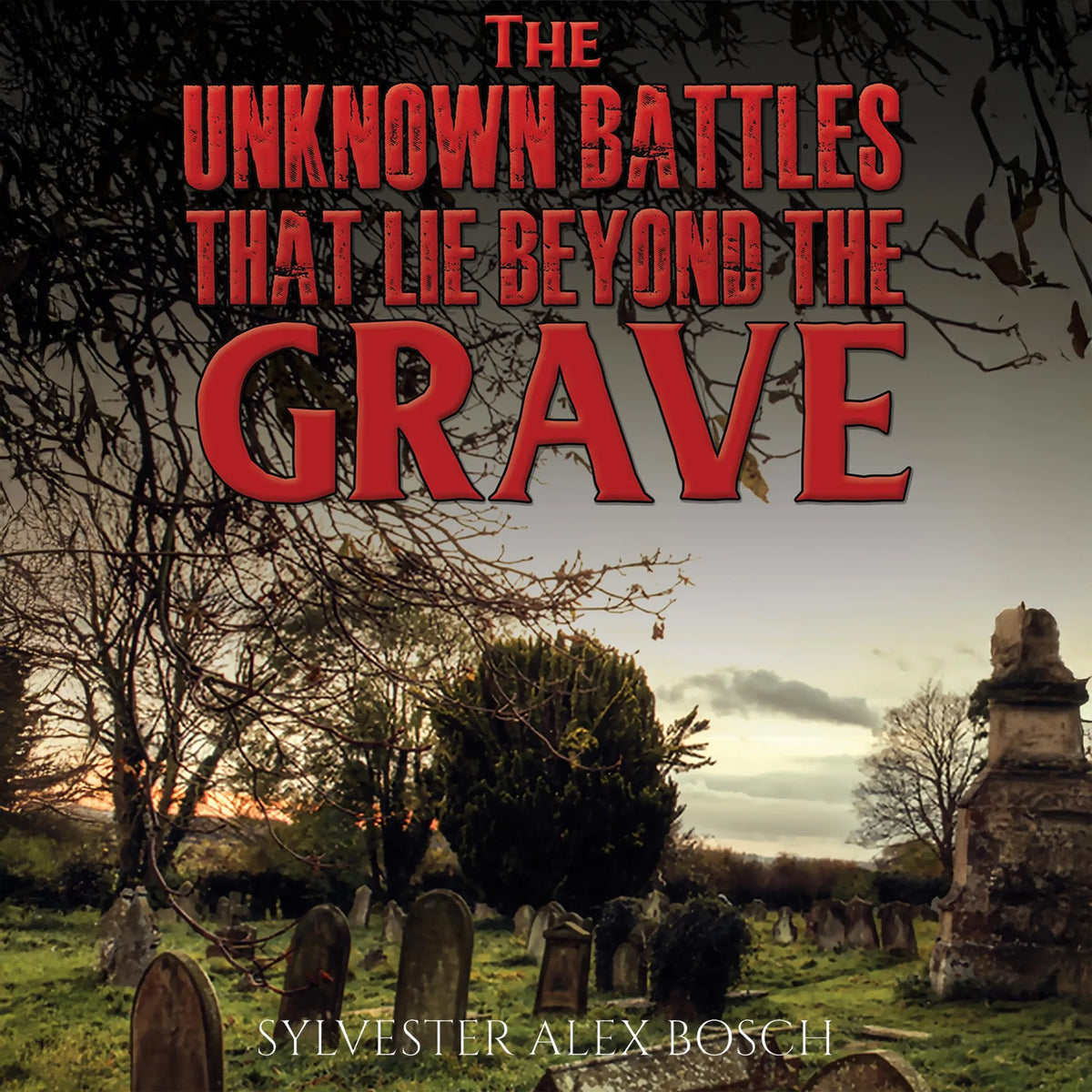 The Unknown Battles That Lie Beyond the Grave