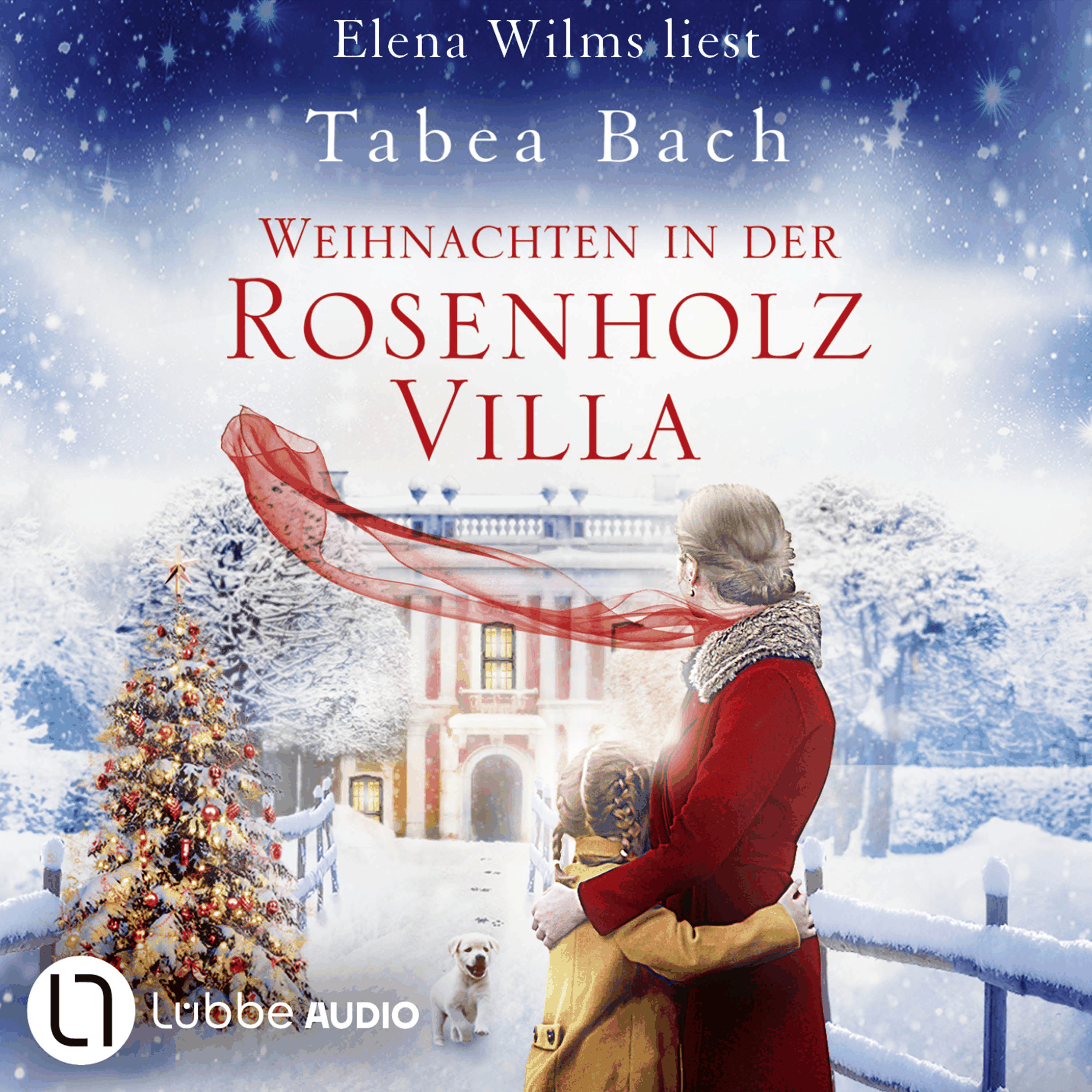 Weihnachten in der Rosenholzvilla - Rosenholzvilla-Saga