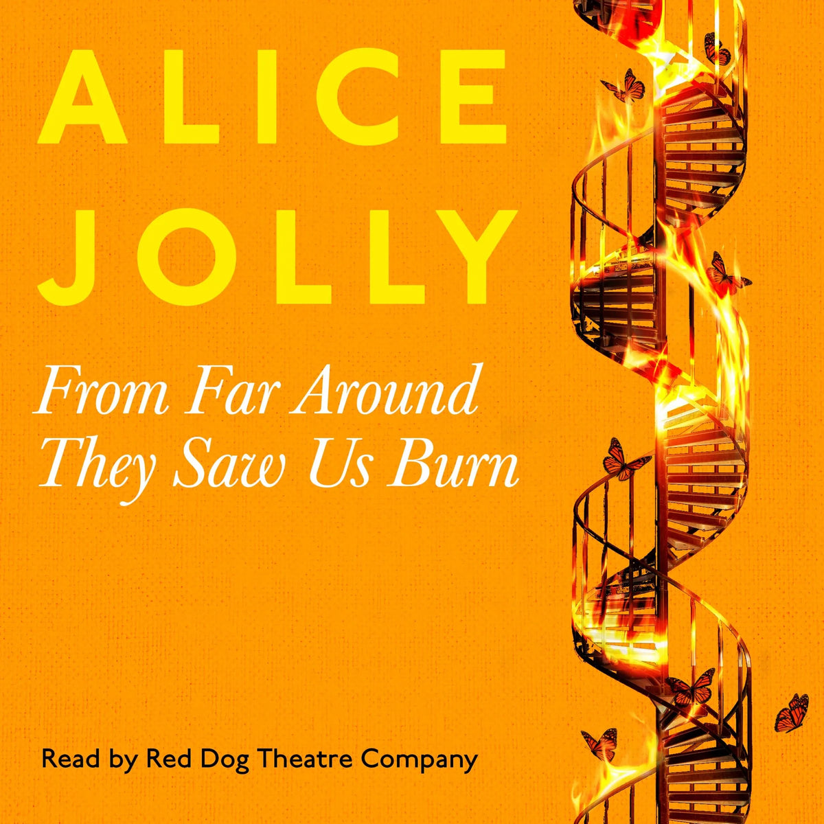 From Far Around They Saw Us Burn (Unabridged)