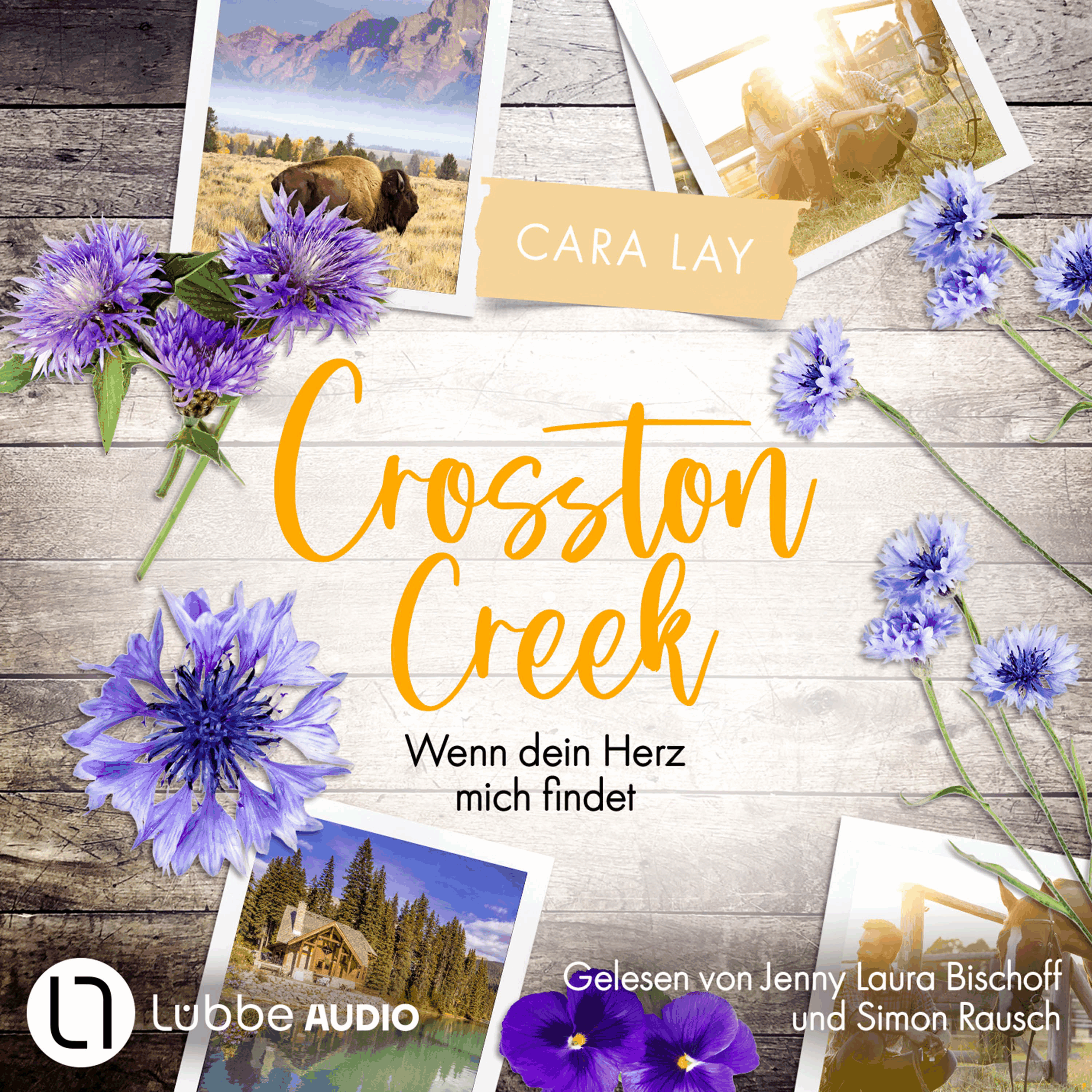 Wenn dein Herz mich findet - Crosston Creek, Teil 3