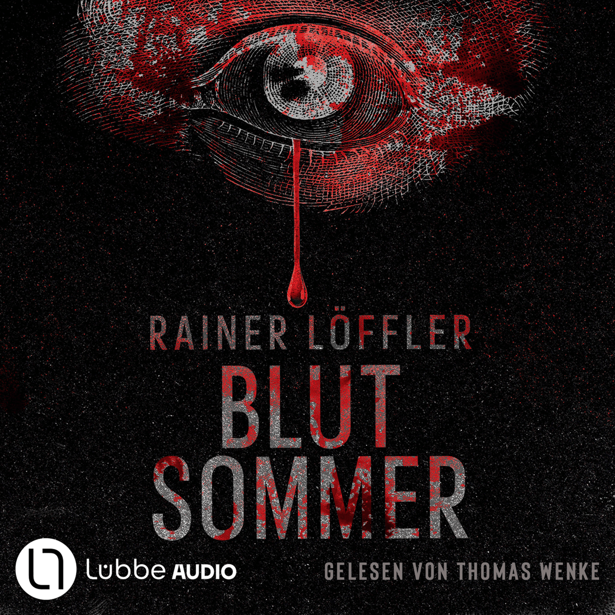 Blutsommer - Martin Abel, Band 1