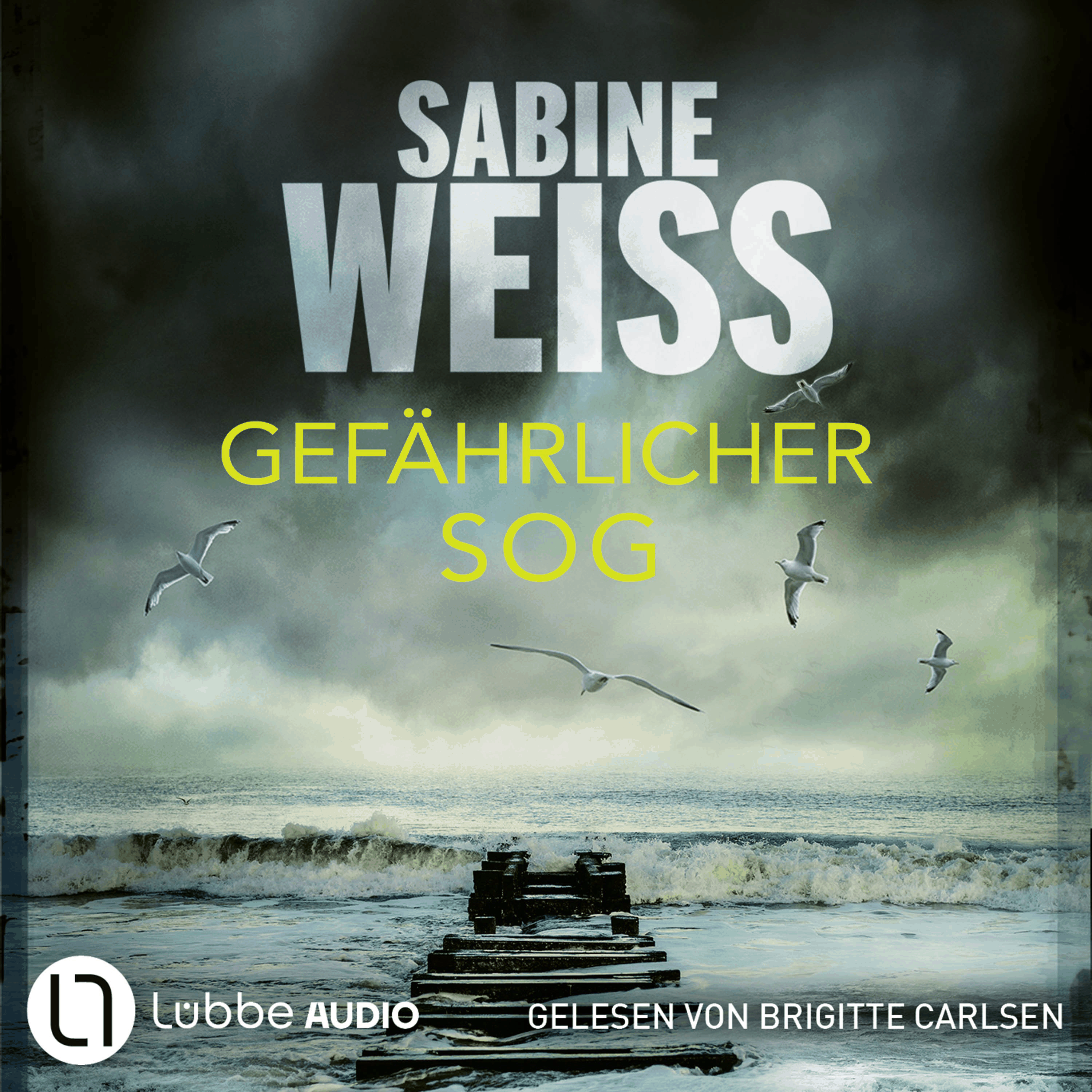 Gefährlicher Sog - Liv Lammers, Teil 8