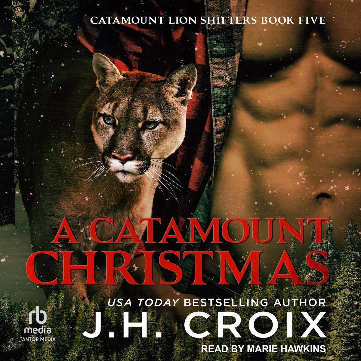 A Catamount Christmas