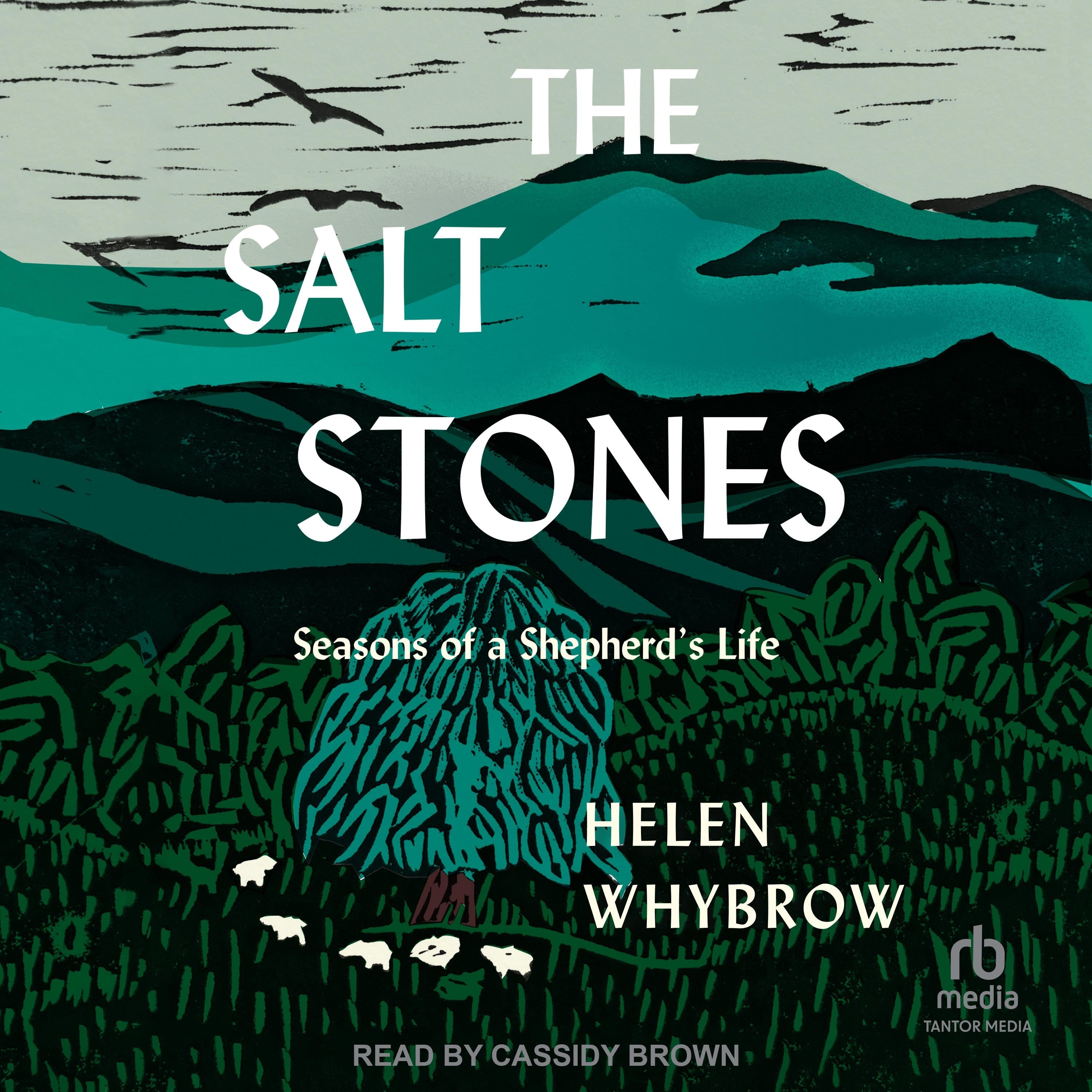 The Salt Stones