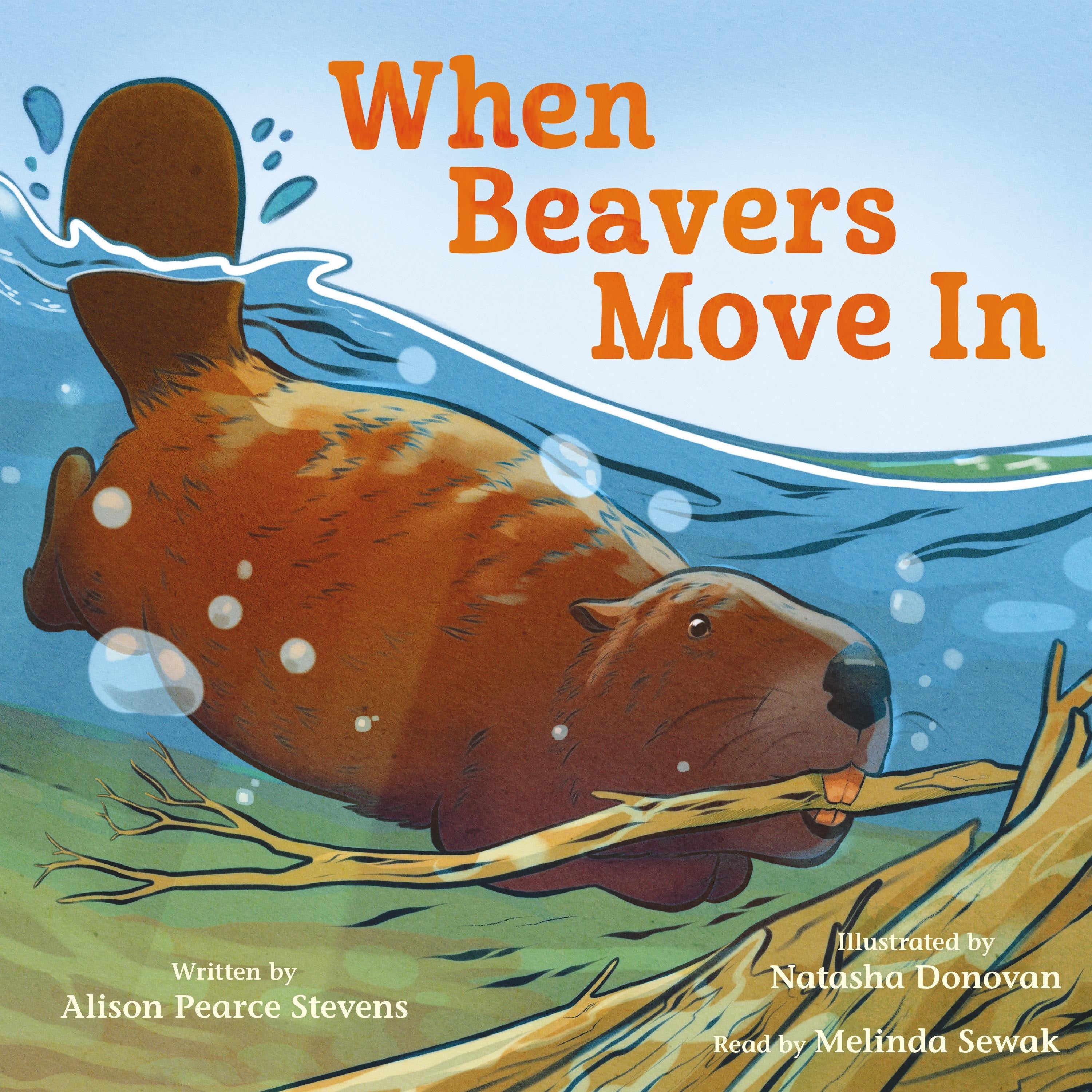 When Beavers Move In