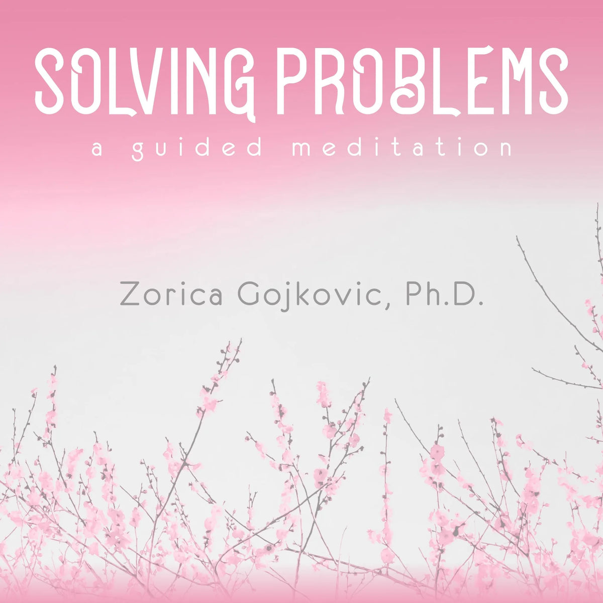 Solving Problems