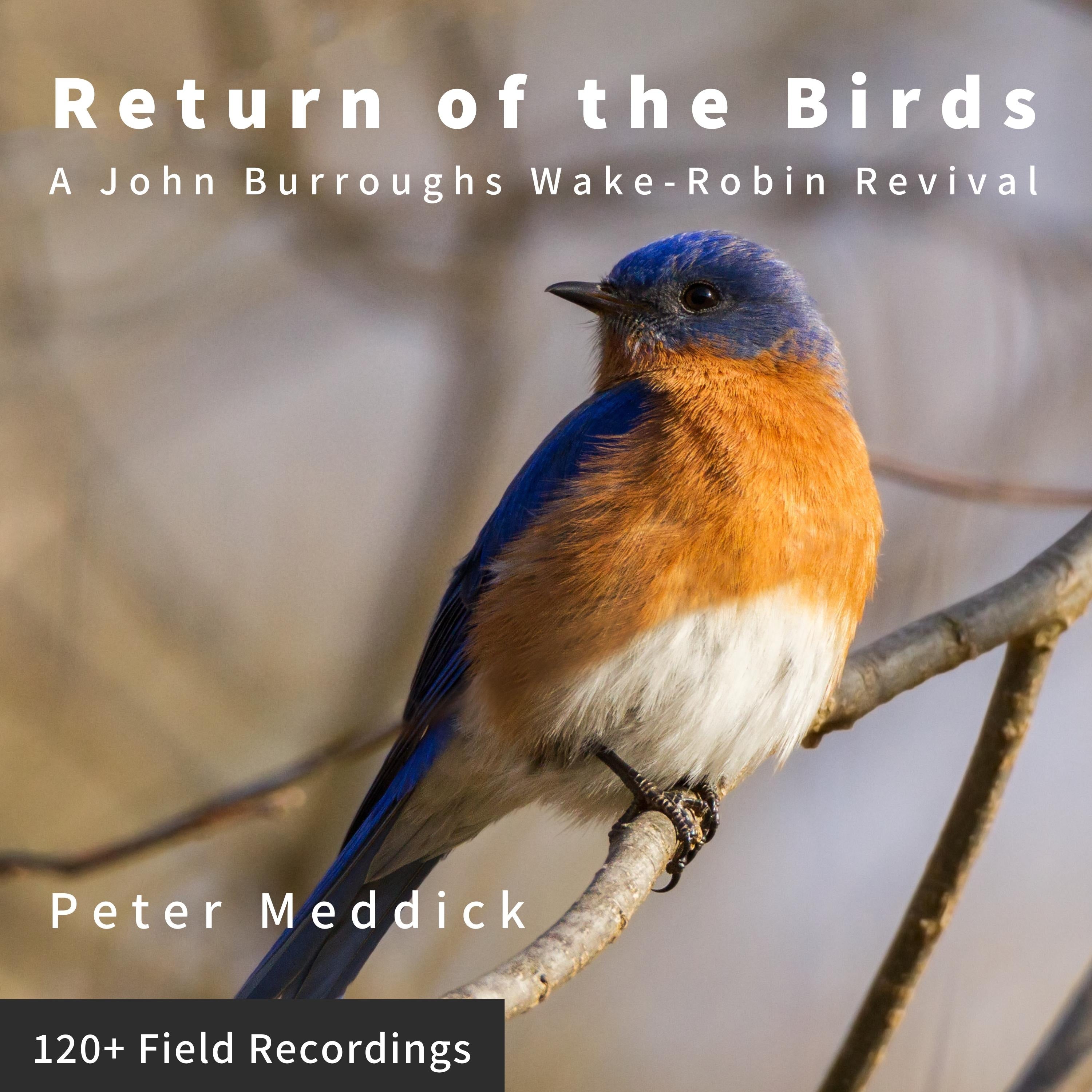 Return of the Birds