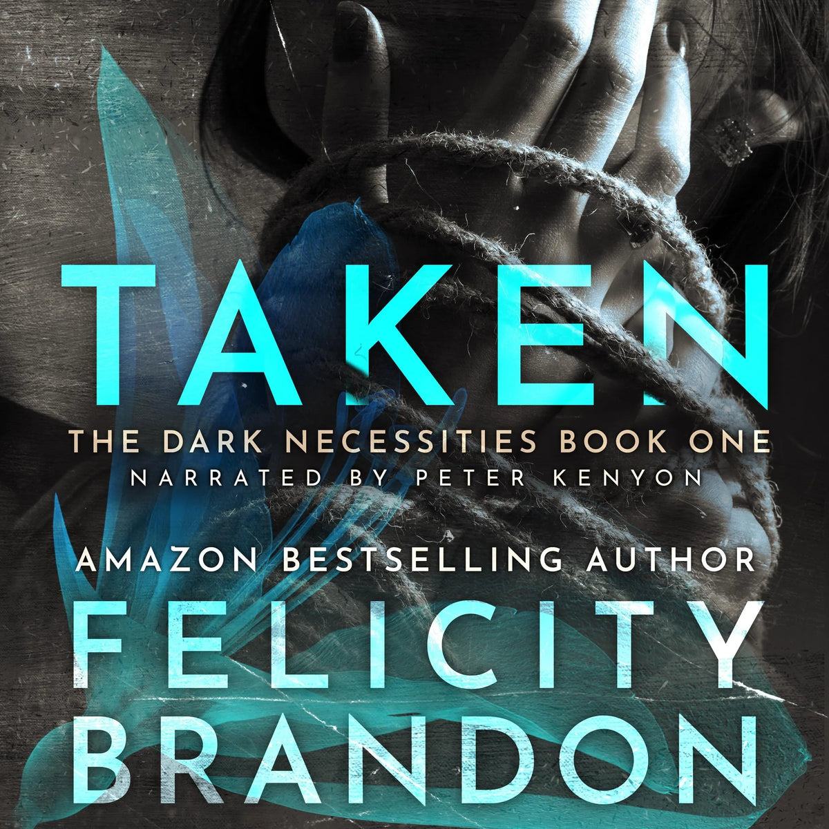 Taken: (A Dark Romance Kidnap Thriller)