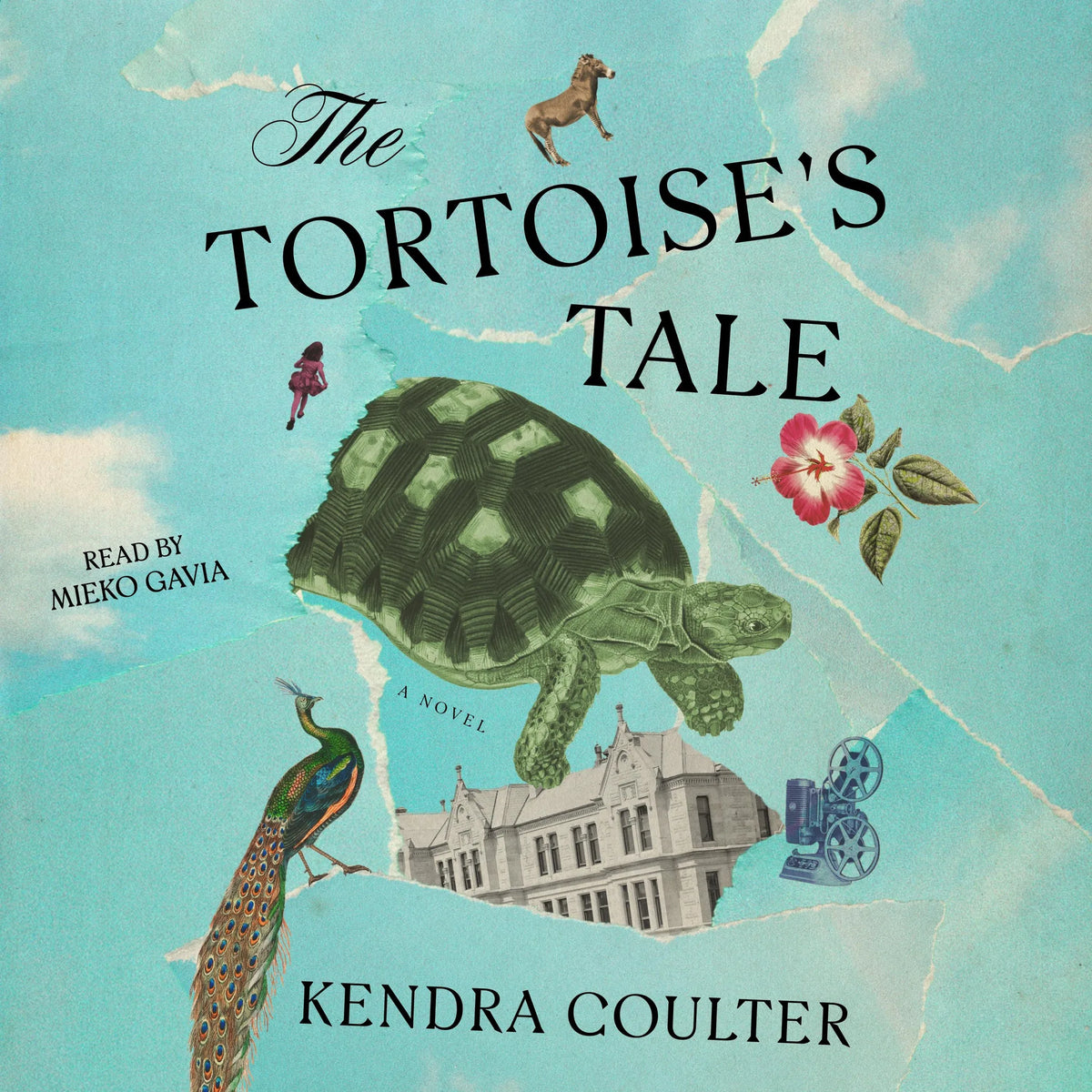 The Tortoise's Tale