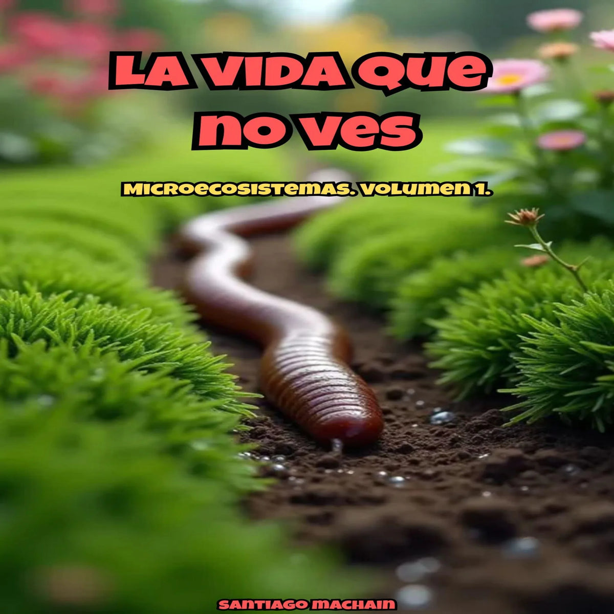 La Vida que no Ves