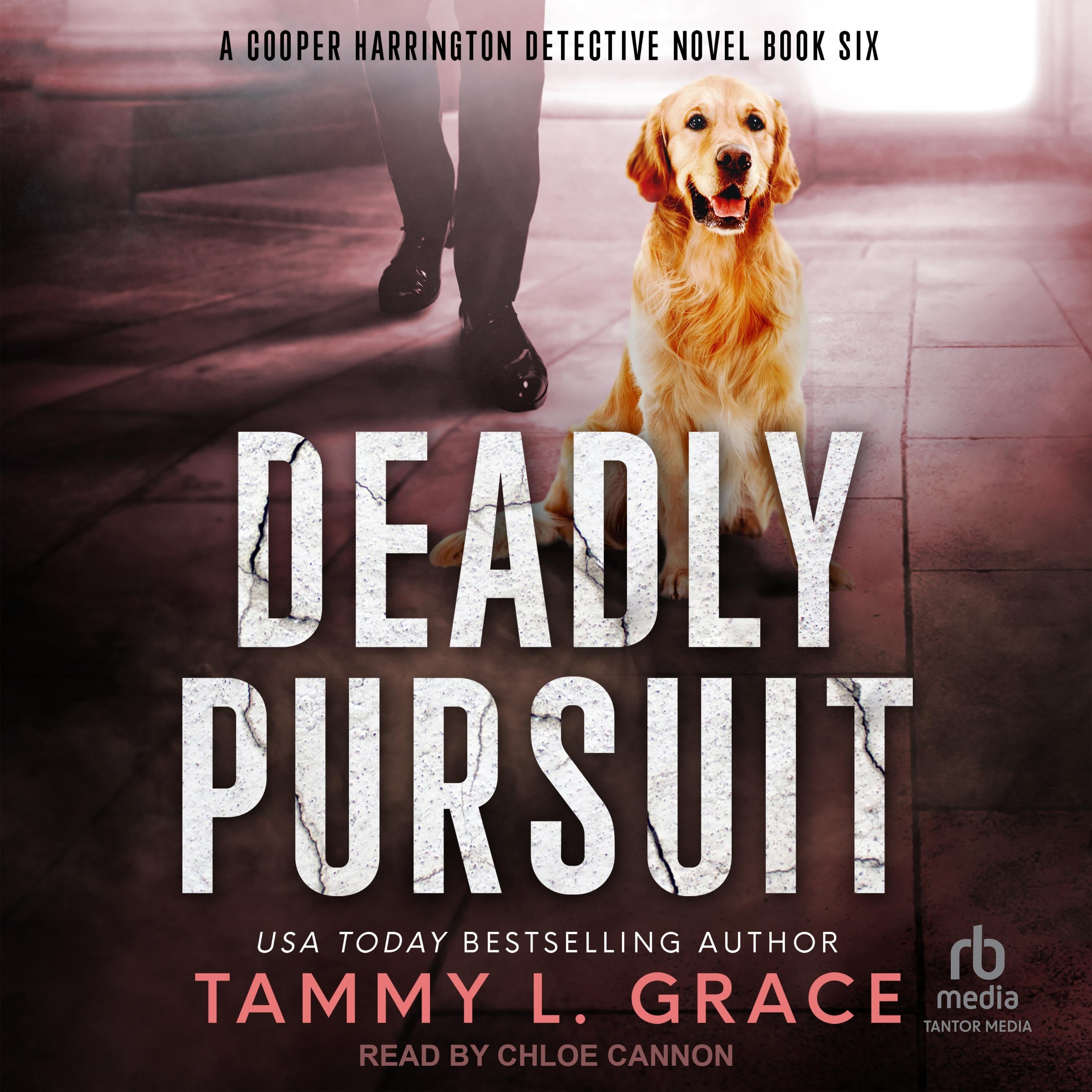 Deadly Pursuit