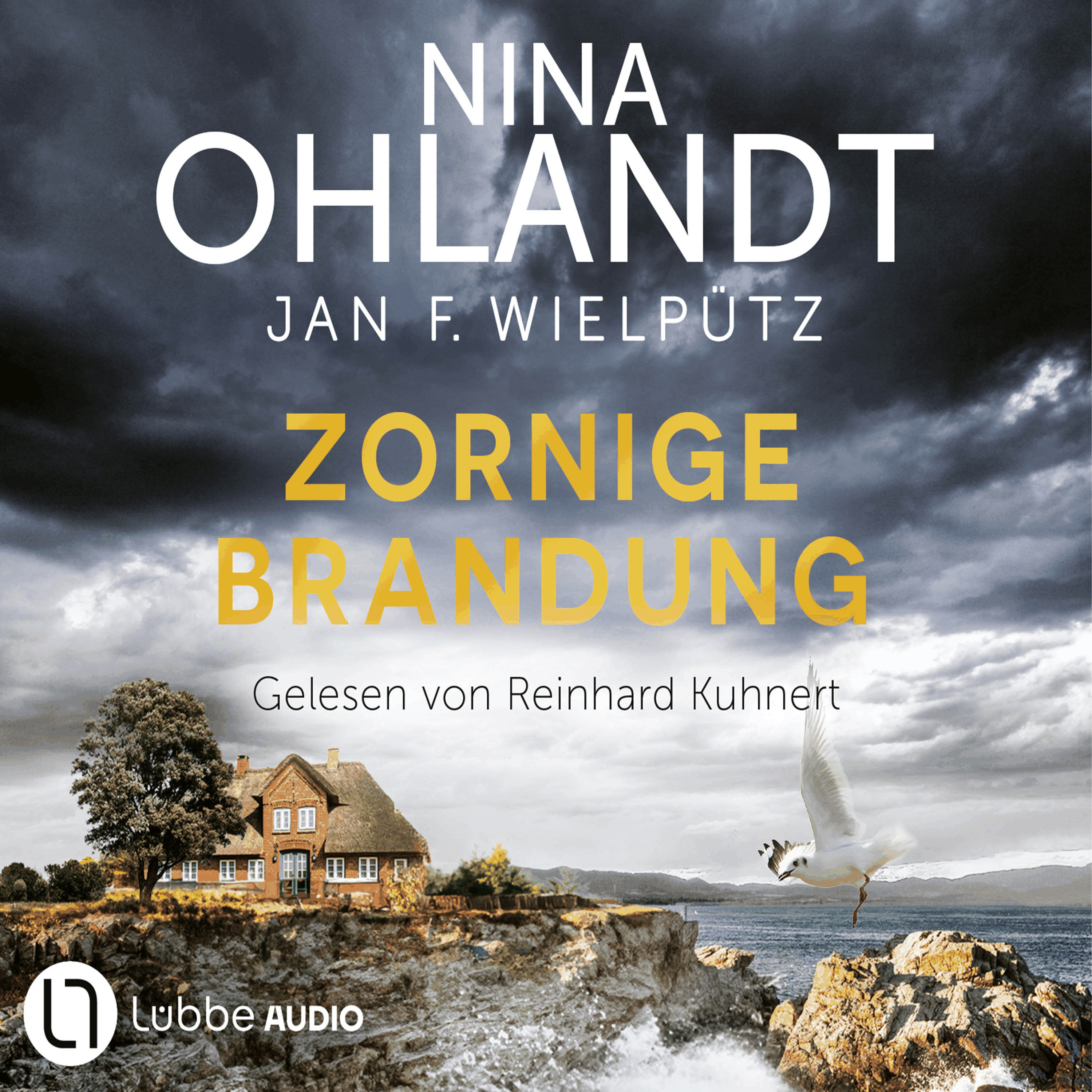 Zornige Brandung - Hauptkommissar John Benthien, Teil 11