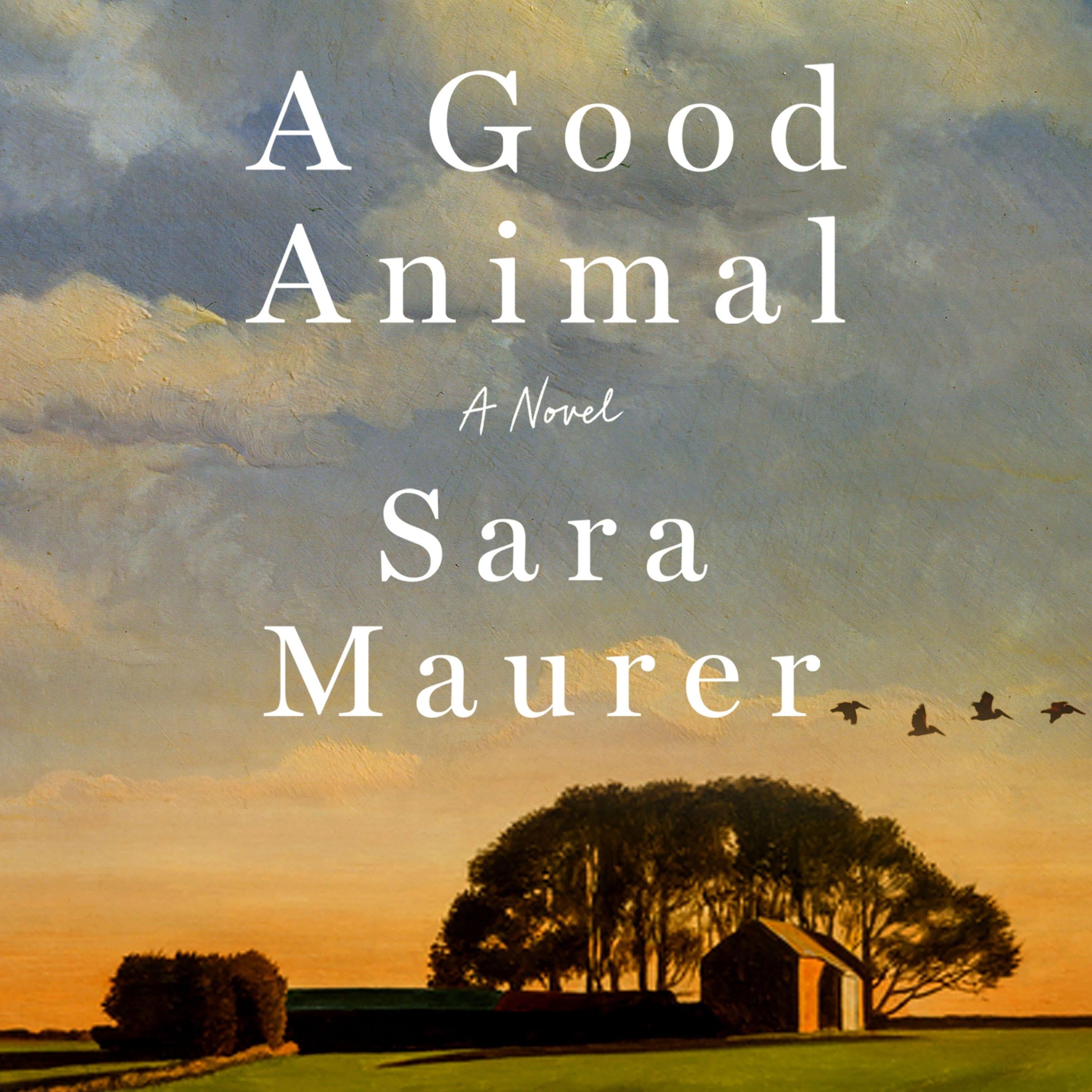 A Good Animal