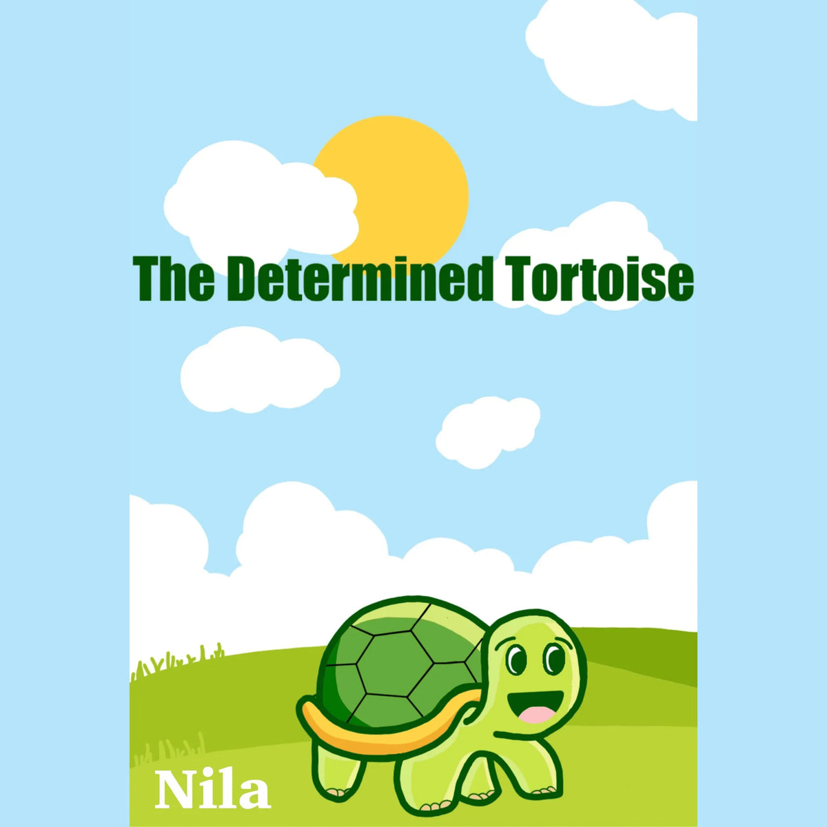 The Determined Tortoise