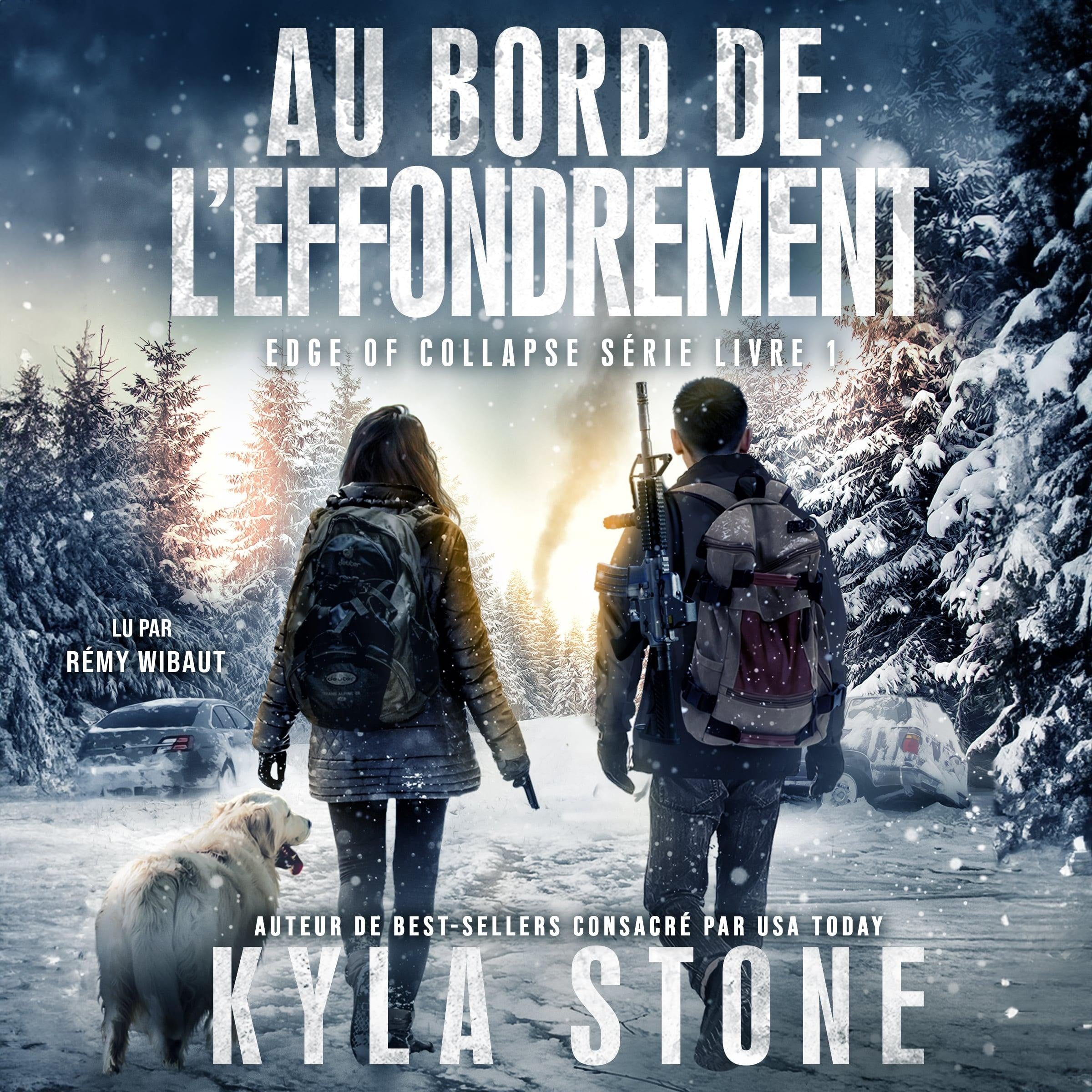 Au bord de l'effondrement