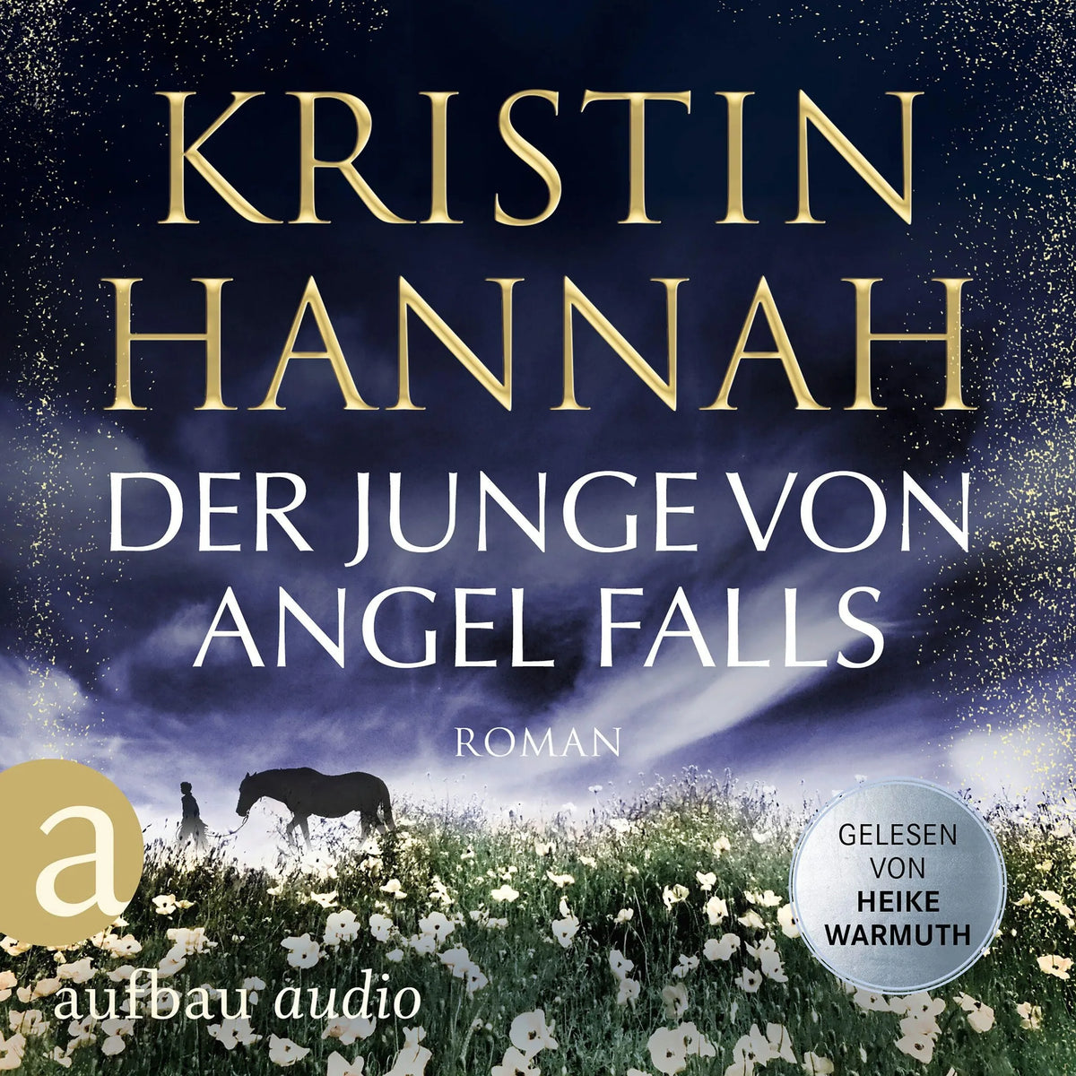 Der Junge von Angel Falls - Wenn Engel schweigen (Gekürzt)