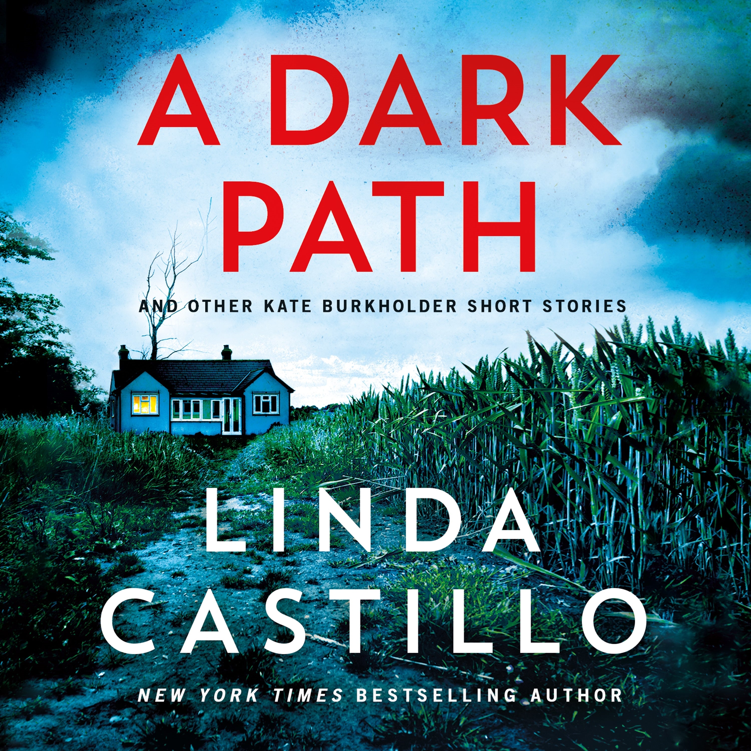 A Dark Path: And Other Kate Burkholder Short Stories
