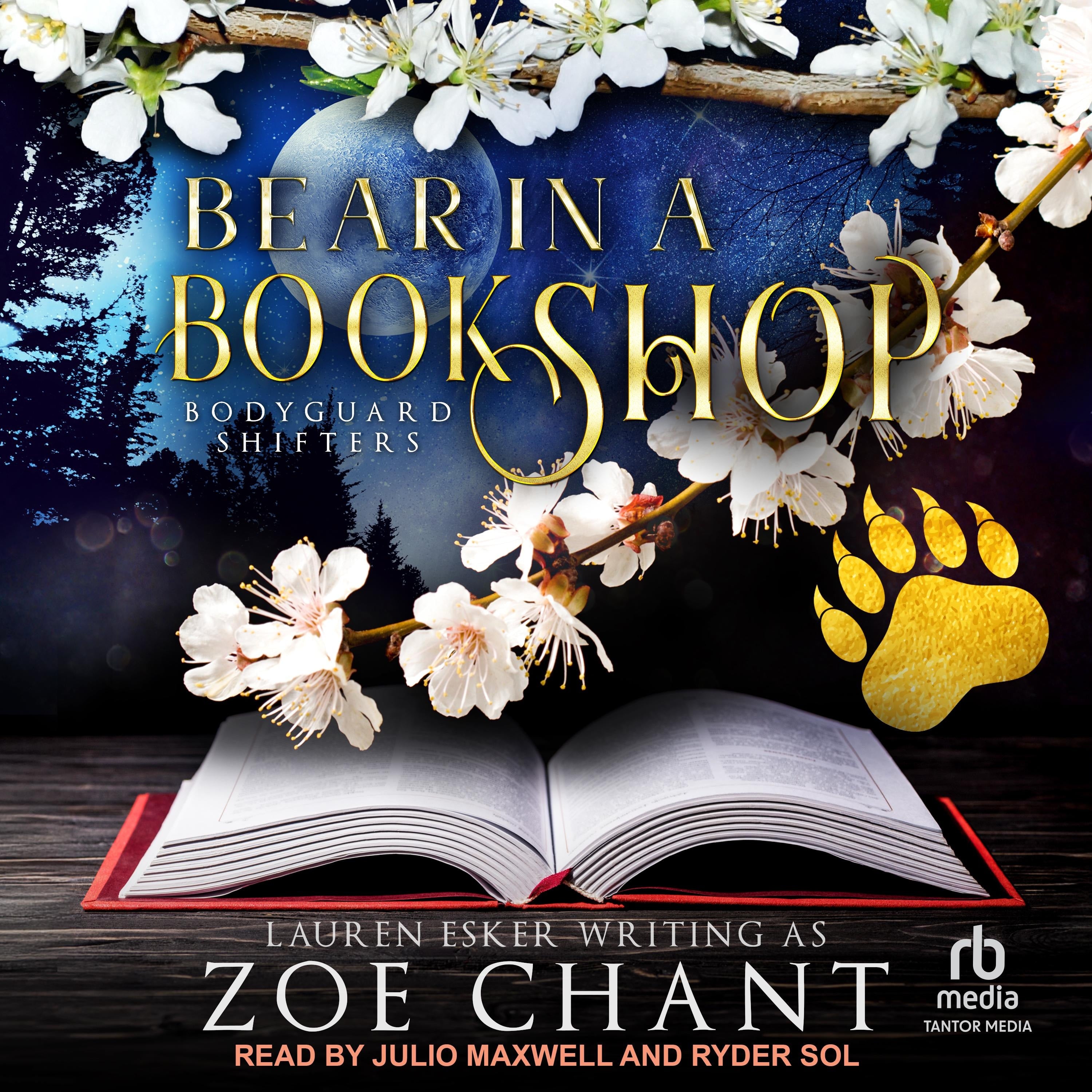 Bear in a Bookshop
