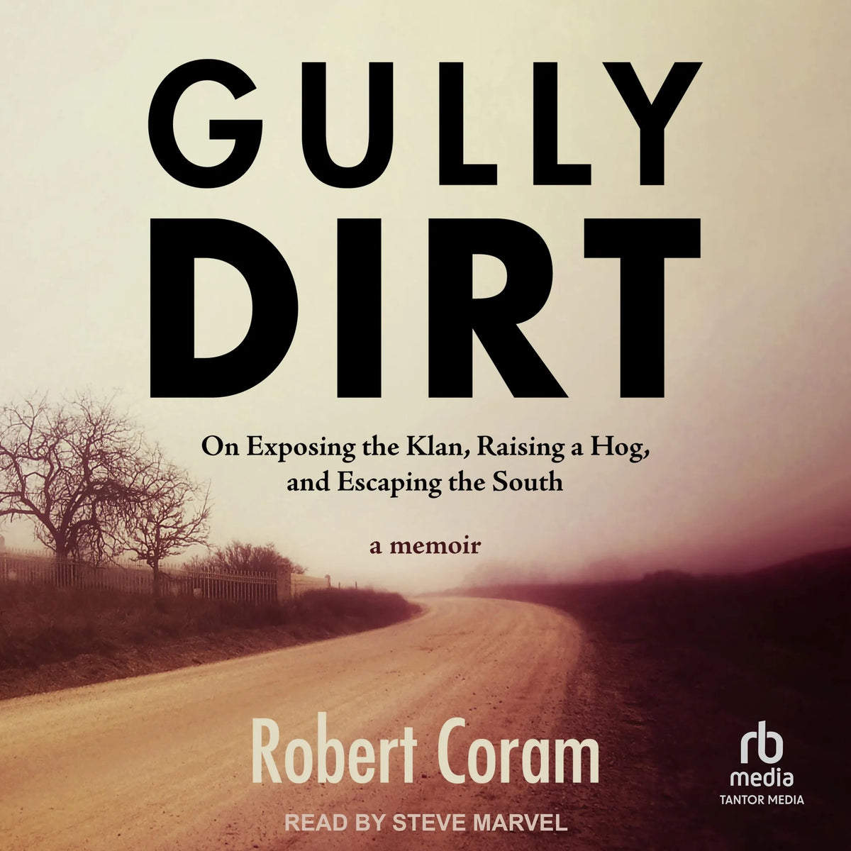 Gully Dirt