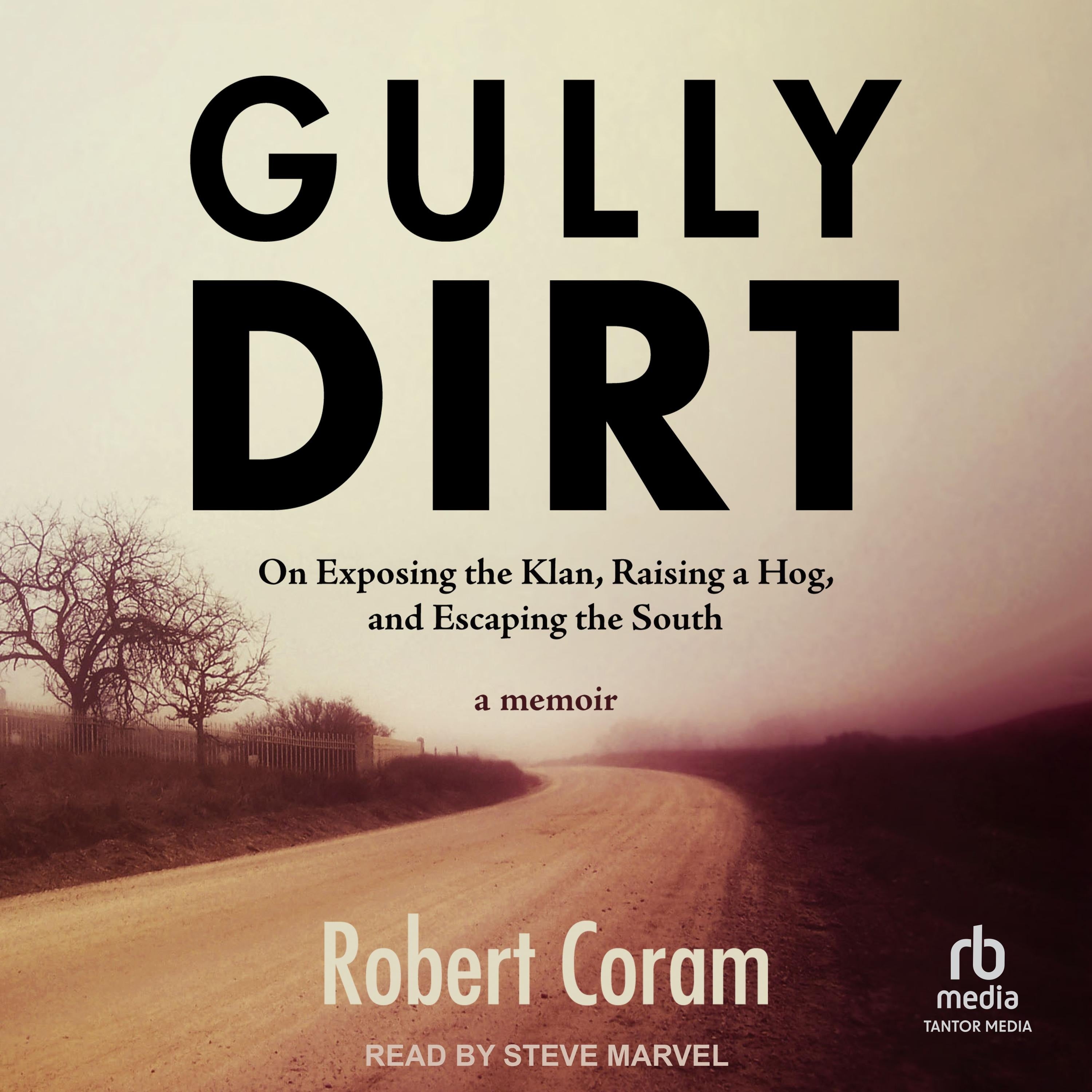 Gully Dirt