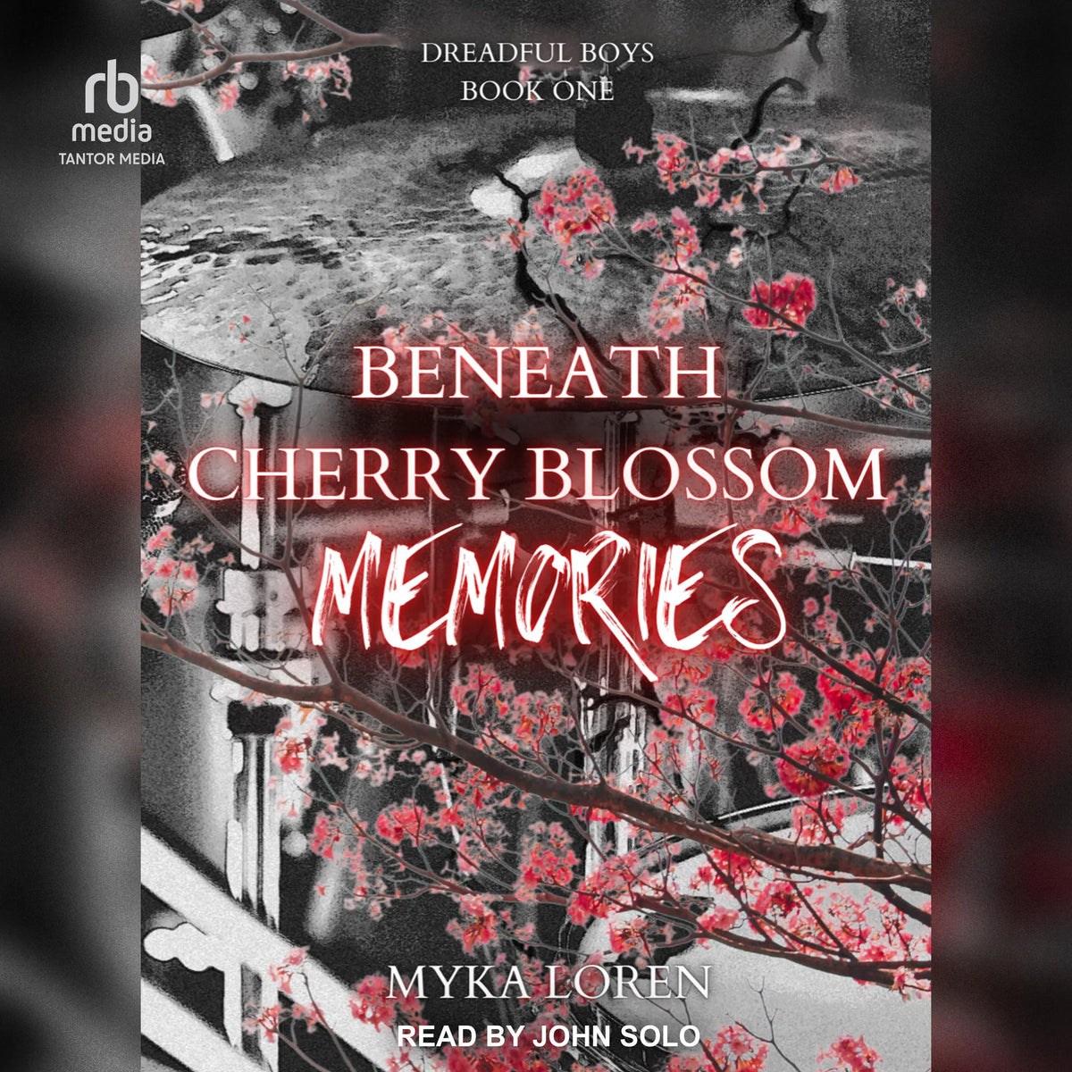Beneath Cherry Blossom Memories