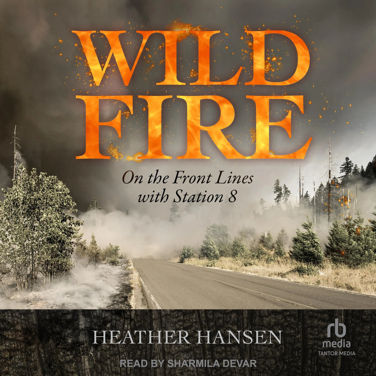 Wildfire