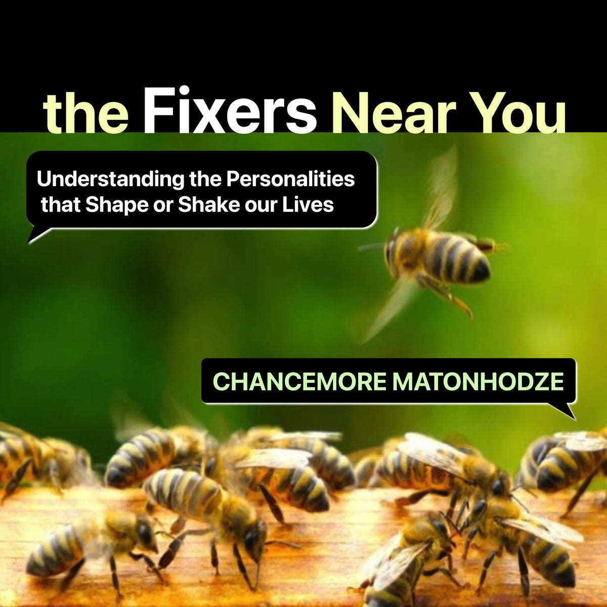 The Fixers Near You