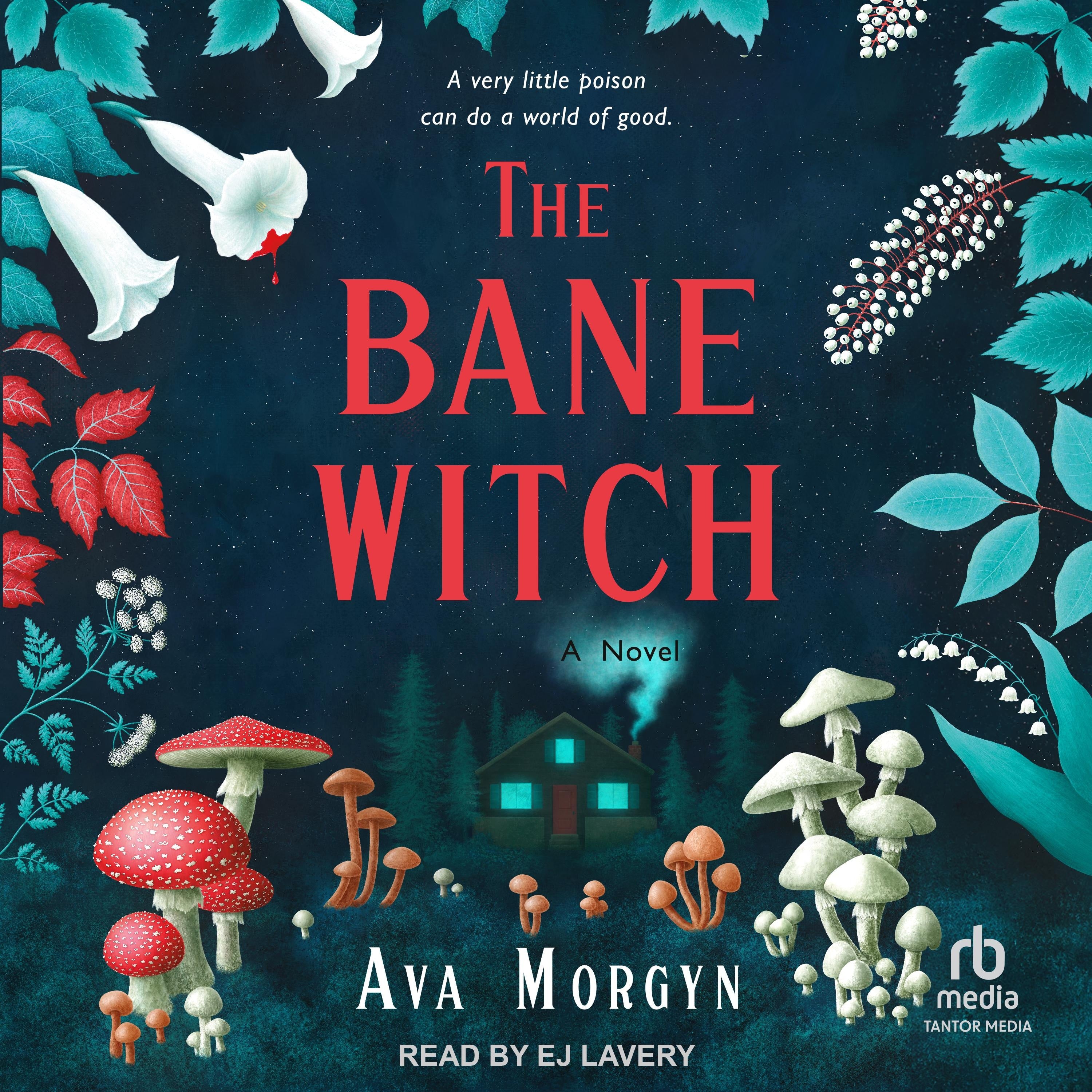The Bane Witch