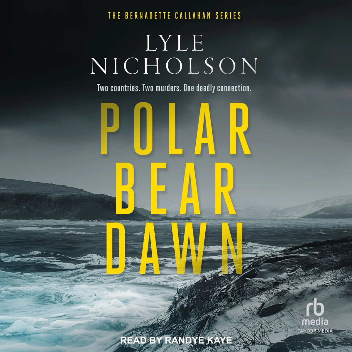 Polar Bear Dawn