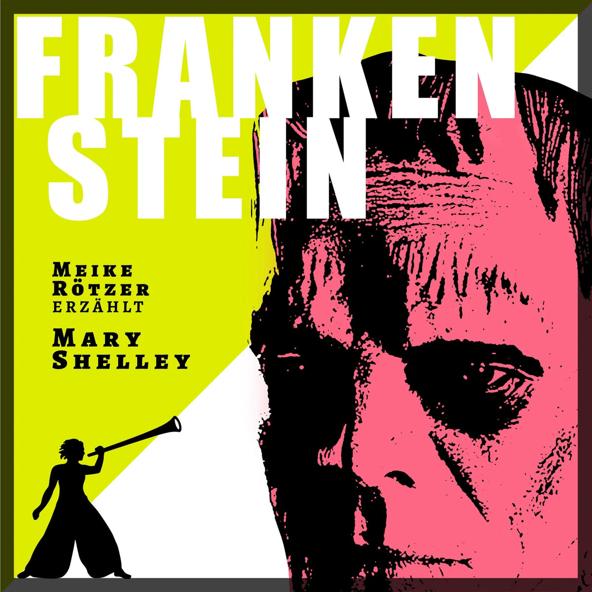 Frankenstein - Erzählbuch (Ungekürzt)