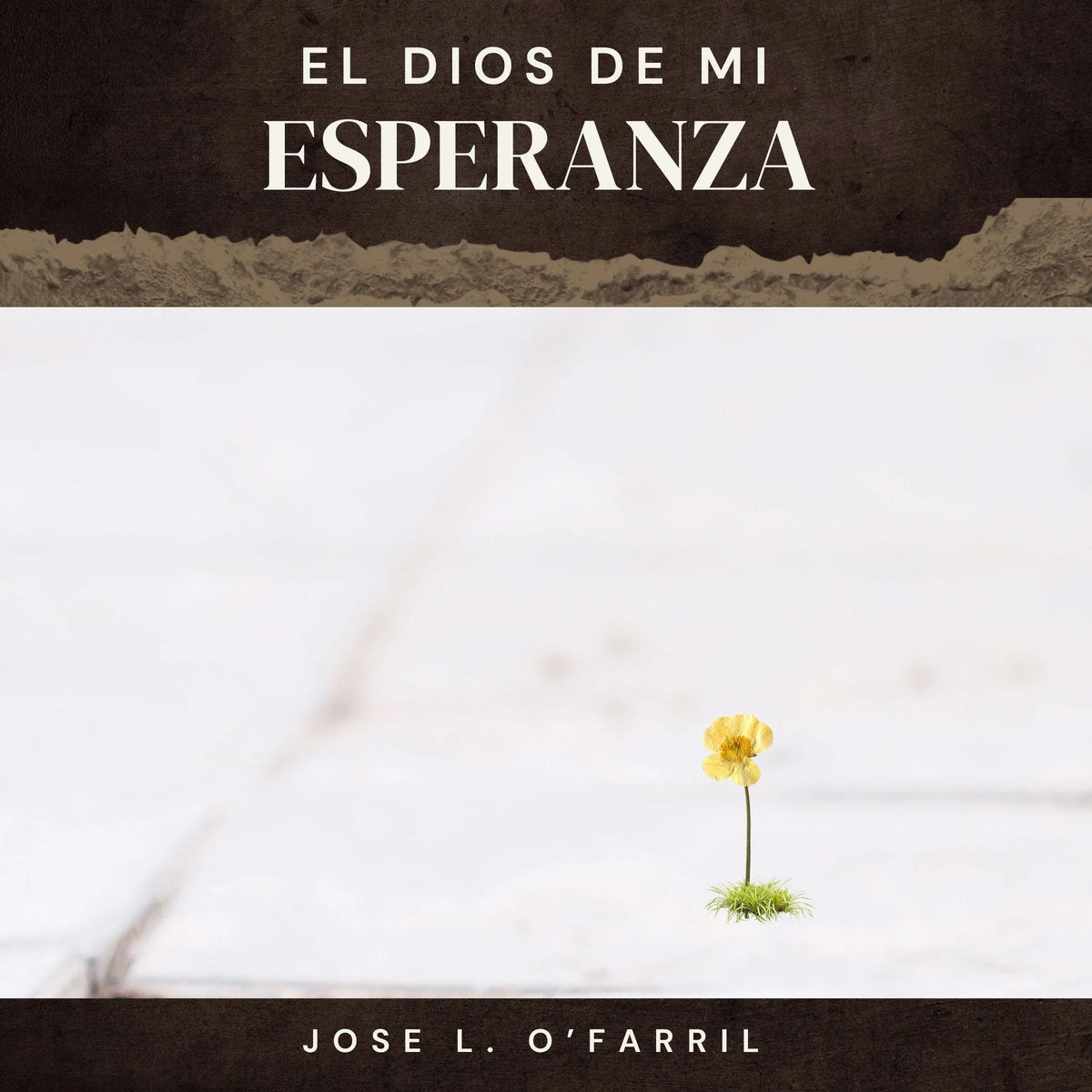 El Dios De Mi Esperanza