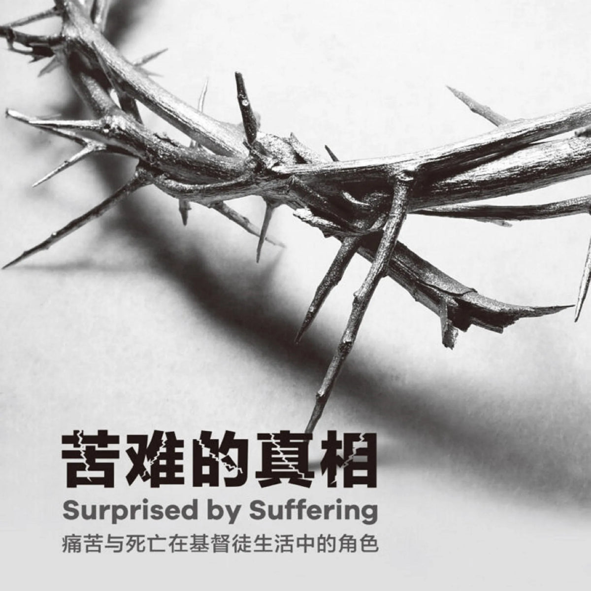 苦难的真相