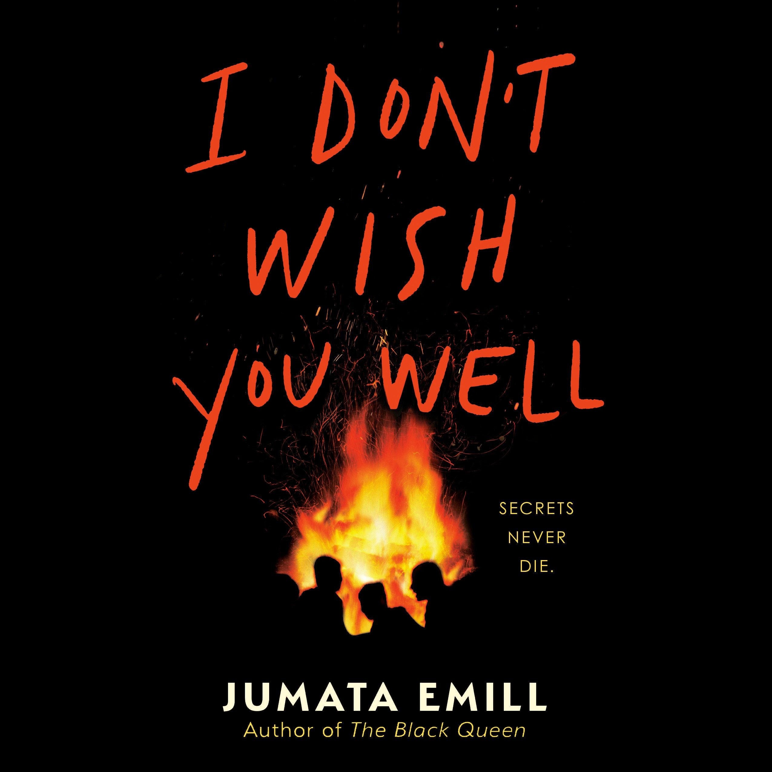I Don't Wish You Well