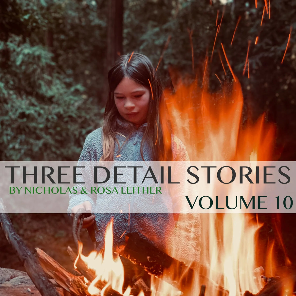 Three Detail Stories
