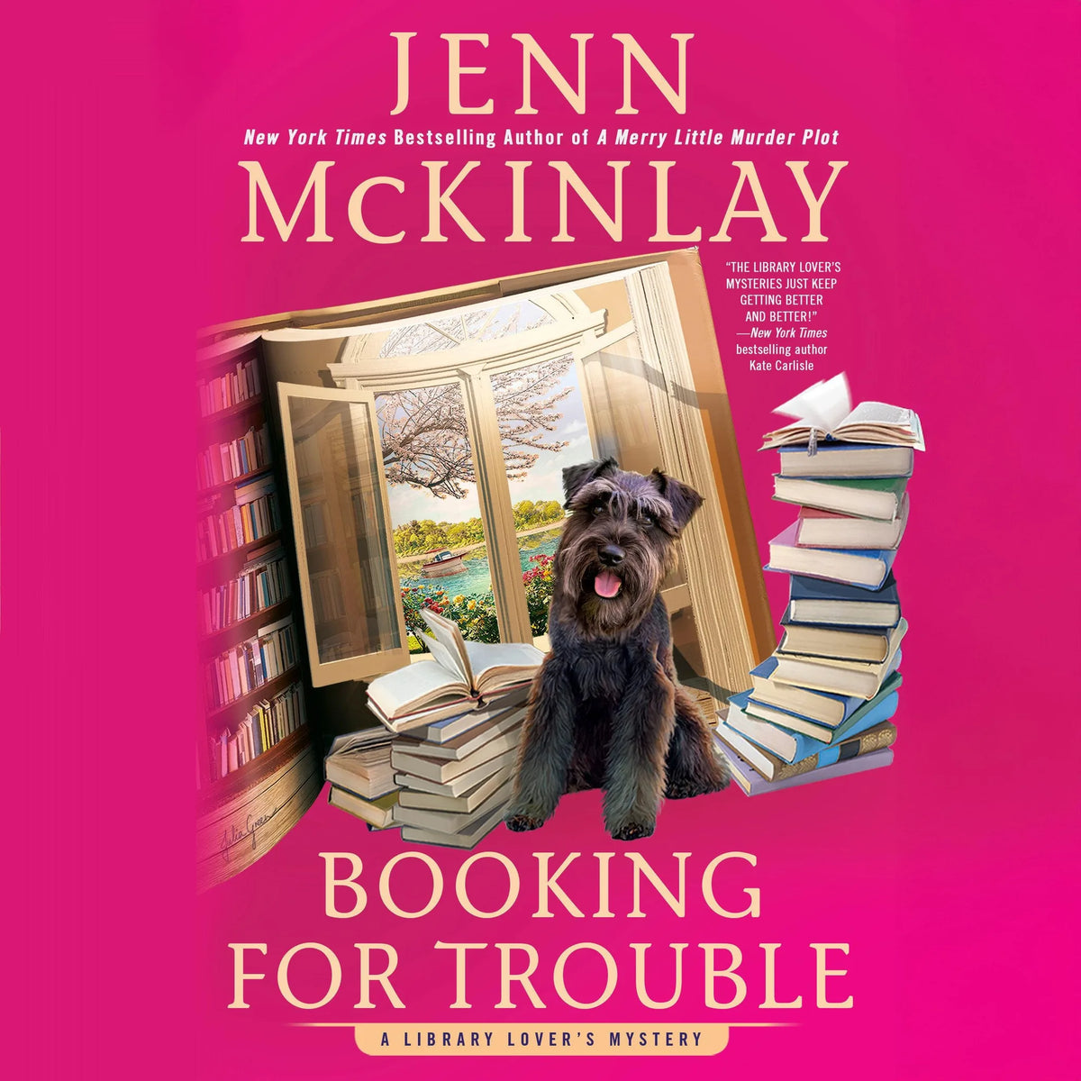 Booking for Trouble