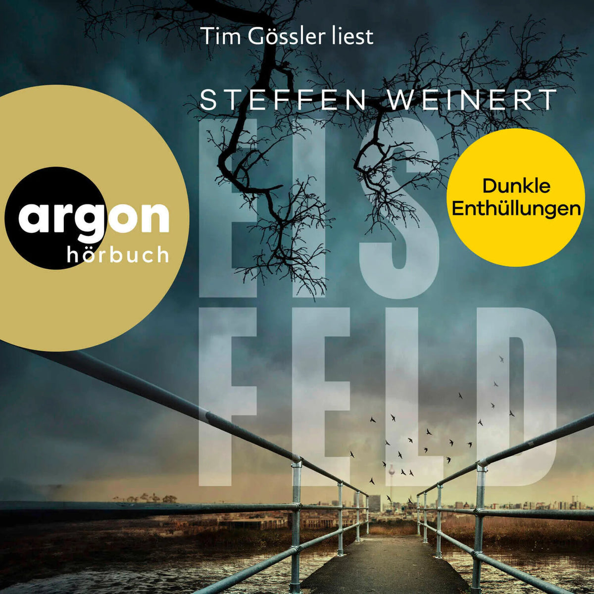 Eisfeld - Dunkle Enthüllungen - Mara Eisfeld ermittelt, Band 2 (Ungekürzte Lesung)