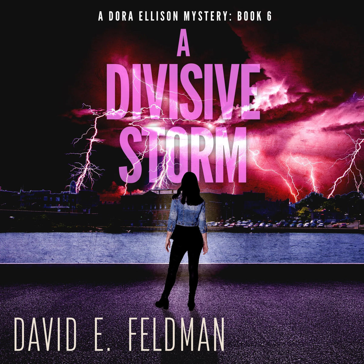 A Divisive Storm: A Gripping Mystery Thriller