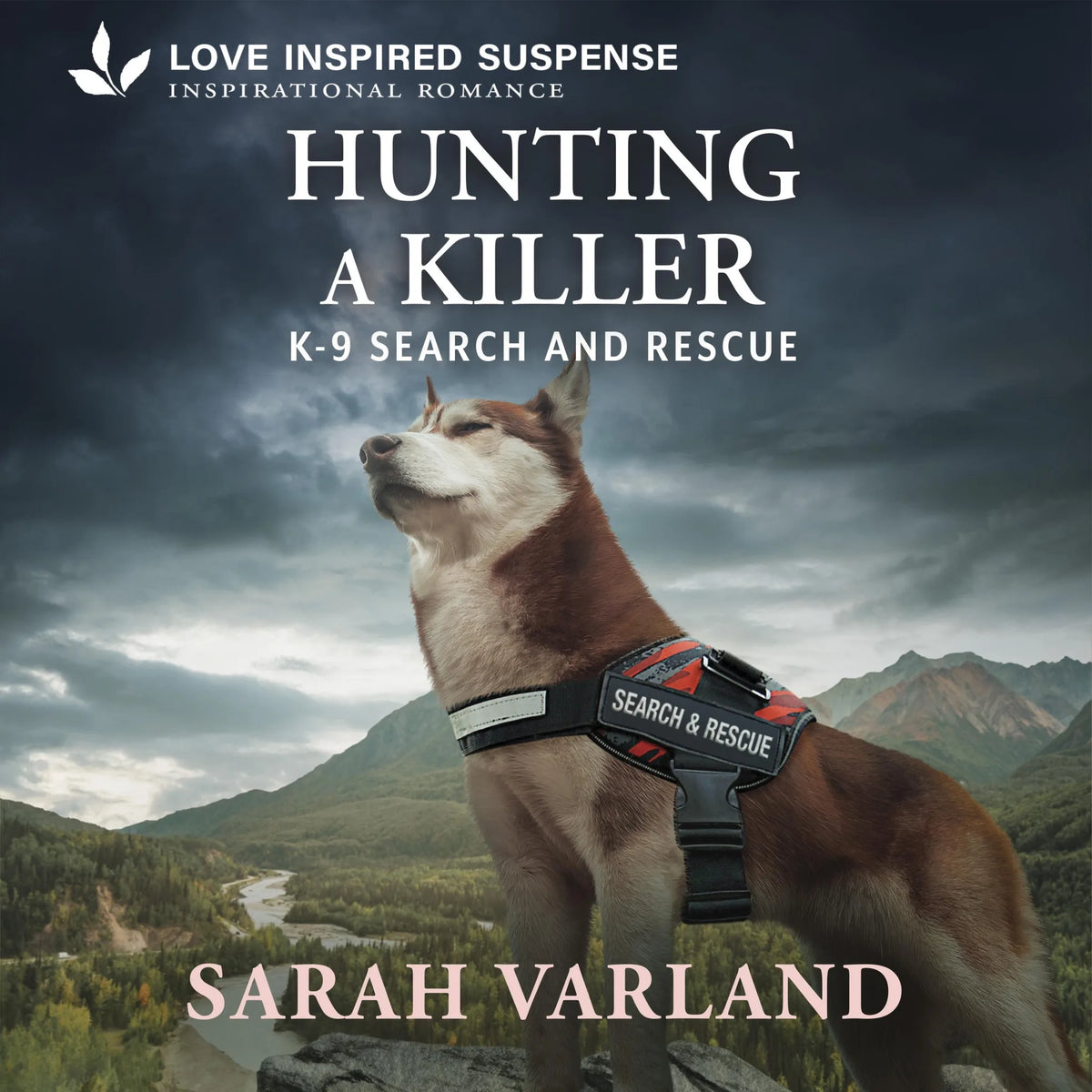 Hunting a Killer
